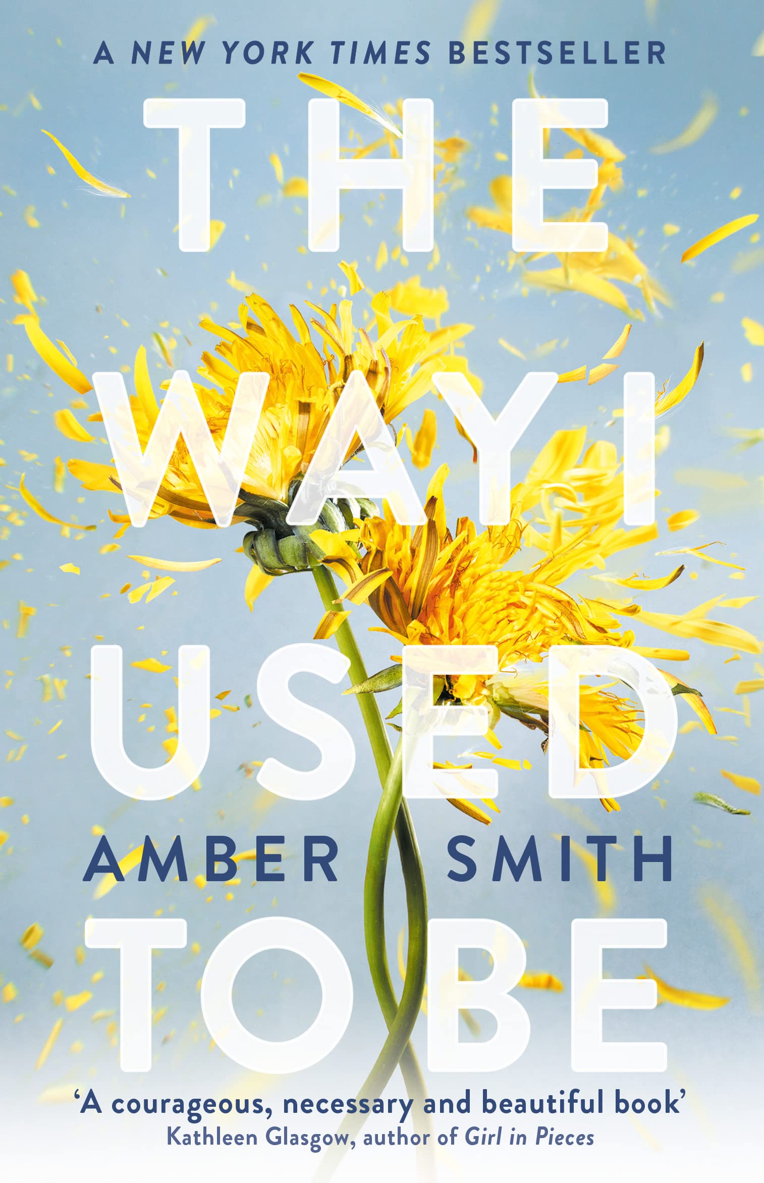 Amber Smith - The Way I Used to Be | Young Adult Literature & Fiction 1