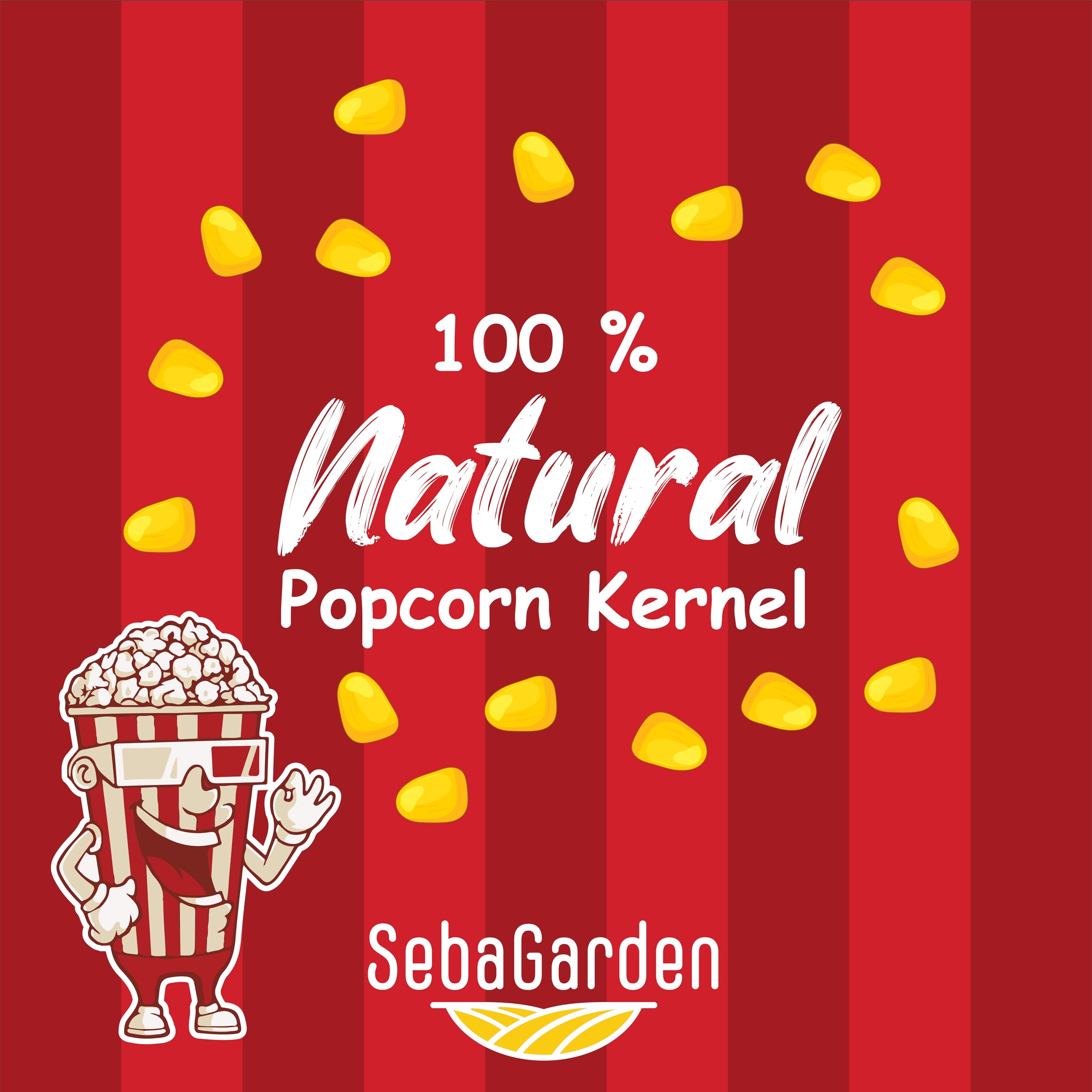 Seba Garden Popcornkerne (1 kg) – Vegetarischer, glutenfreier, gentechnikfreier Snack 3
