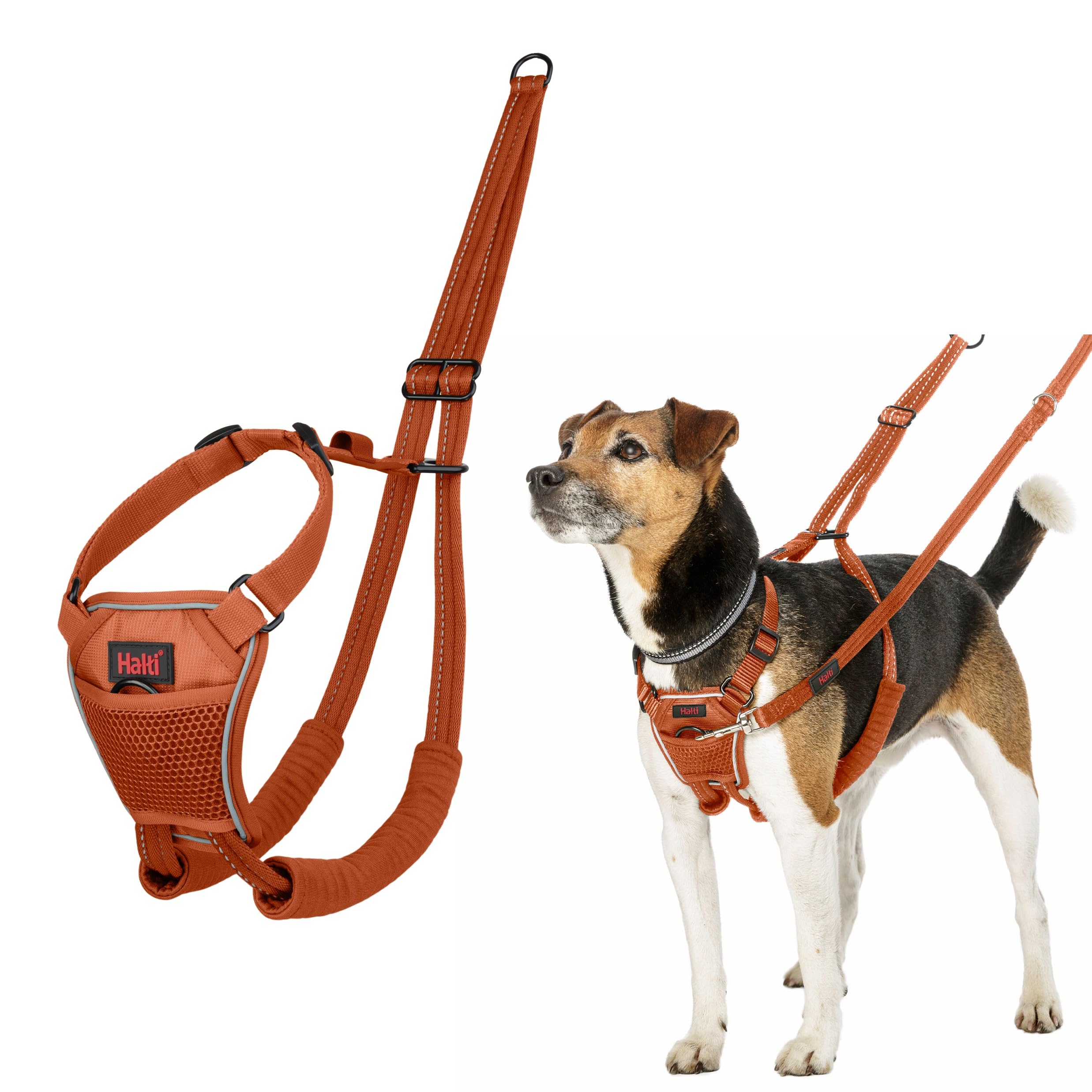 Halti No Pull Harness - Stops Leash Pulling | Adjustable | Size S | Burnt Orange
