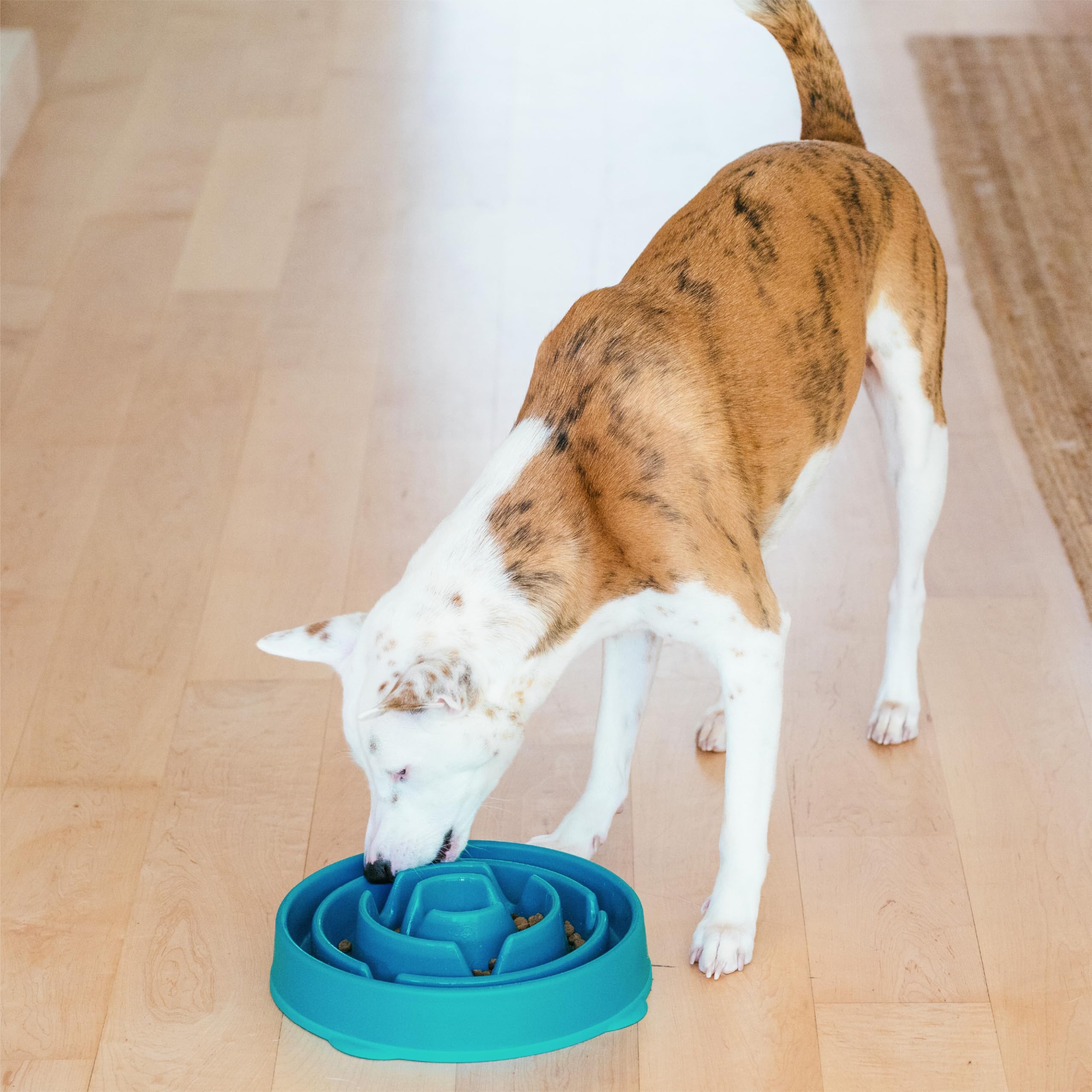 Outward Hound Slow Feeder Dog Bowl - Large Size, Turquoise | Slows Eating 10X | Non-Slip Base 6