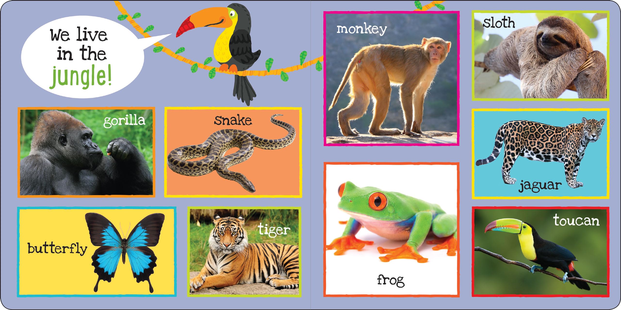 Peter Pauper Press My First 101 Animals Board Book - Ages 0-2 | 24 Pages | English 2