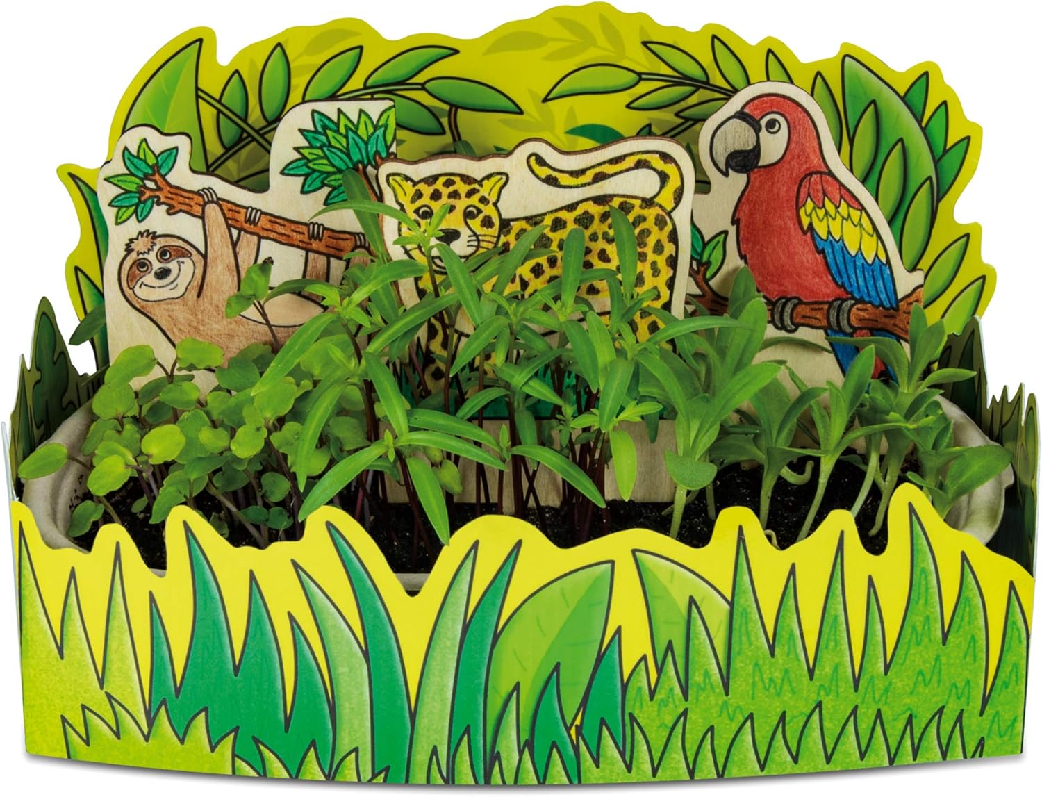 Galt Nature Lab Science Kit - Educational Plant Growing STEM Activity for Kids 5-10 Years 2