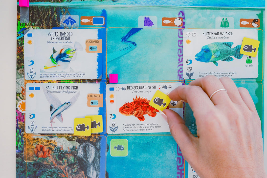 Stonemaier Games Finspan Board Game | Ages 10+ | 1-5 Players | 45-60 Minutes