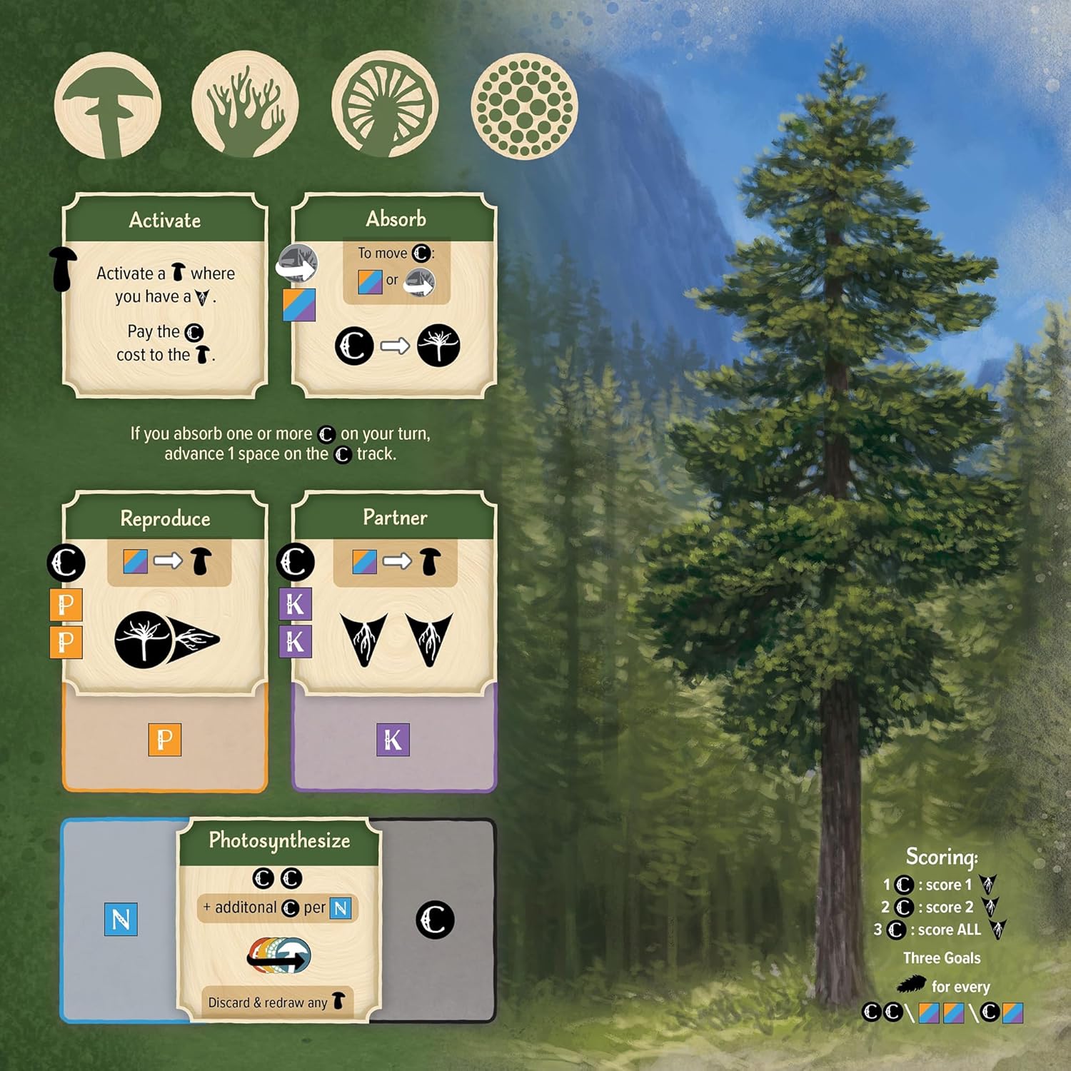 AEG Undergrove Board Game 5