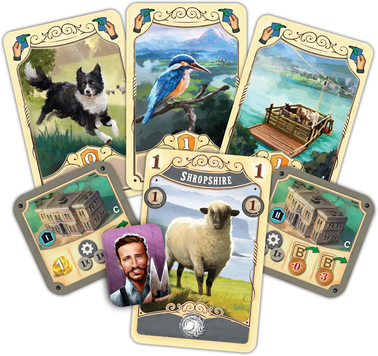 Plan B Games Great Western Trail New Zealand Strategy Board Game 4