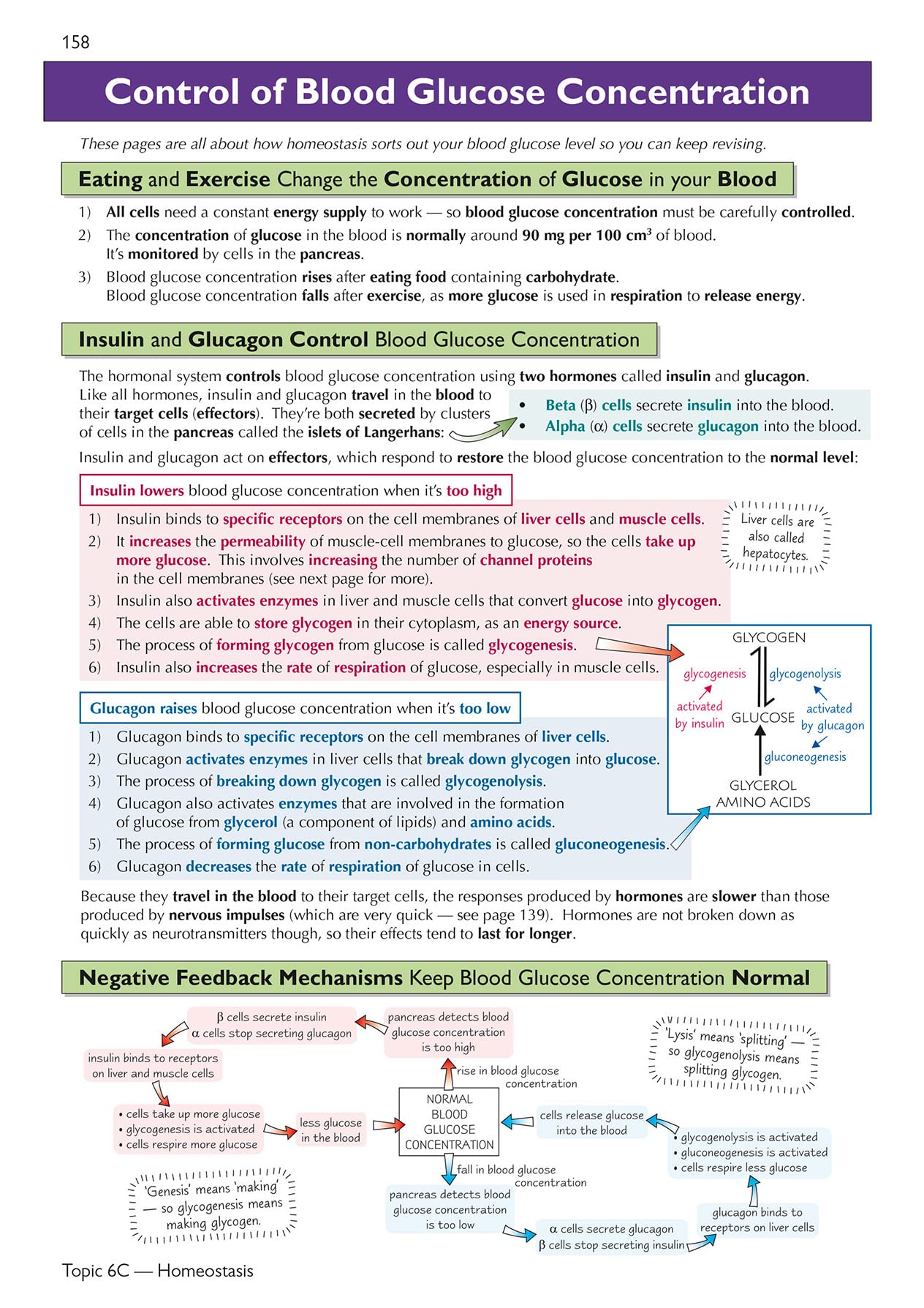 CGP A-Level Biology: AQA Year 1 & 2 Complete Revision & Practice with Online Edition | Paperback | 272 Pages 4