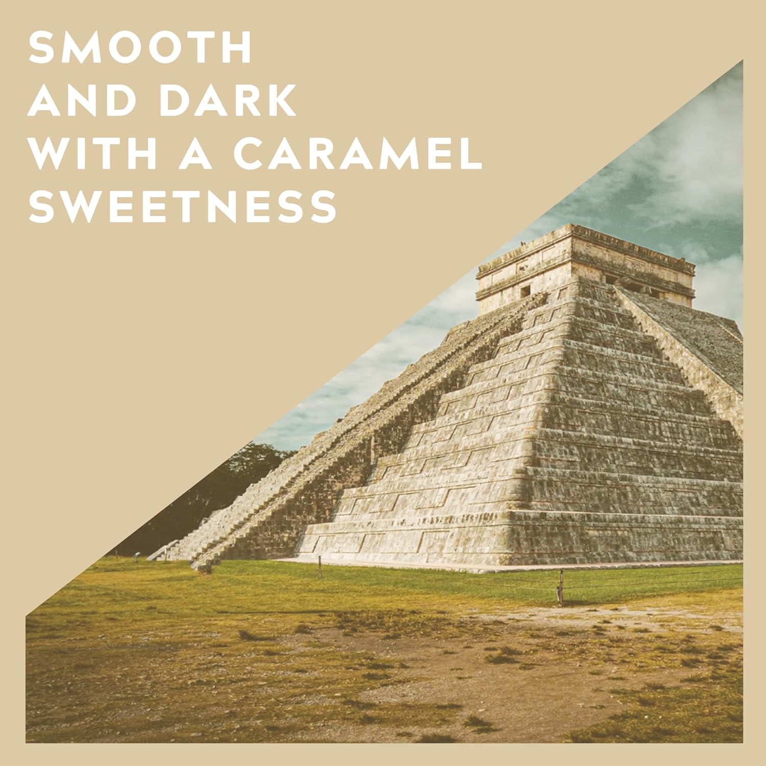 Cafédirect Mayan Gold Mexico Organic Fairtrade Ground Arabica Coffee 200g 4