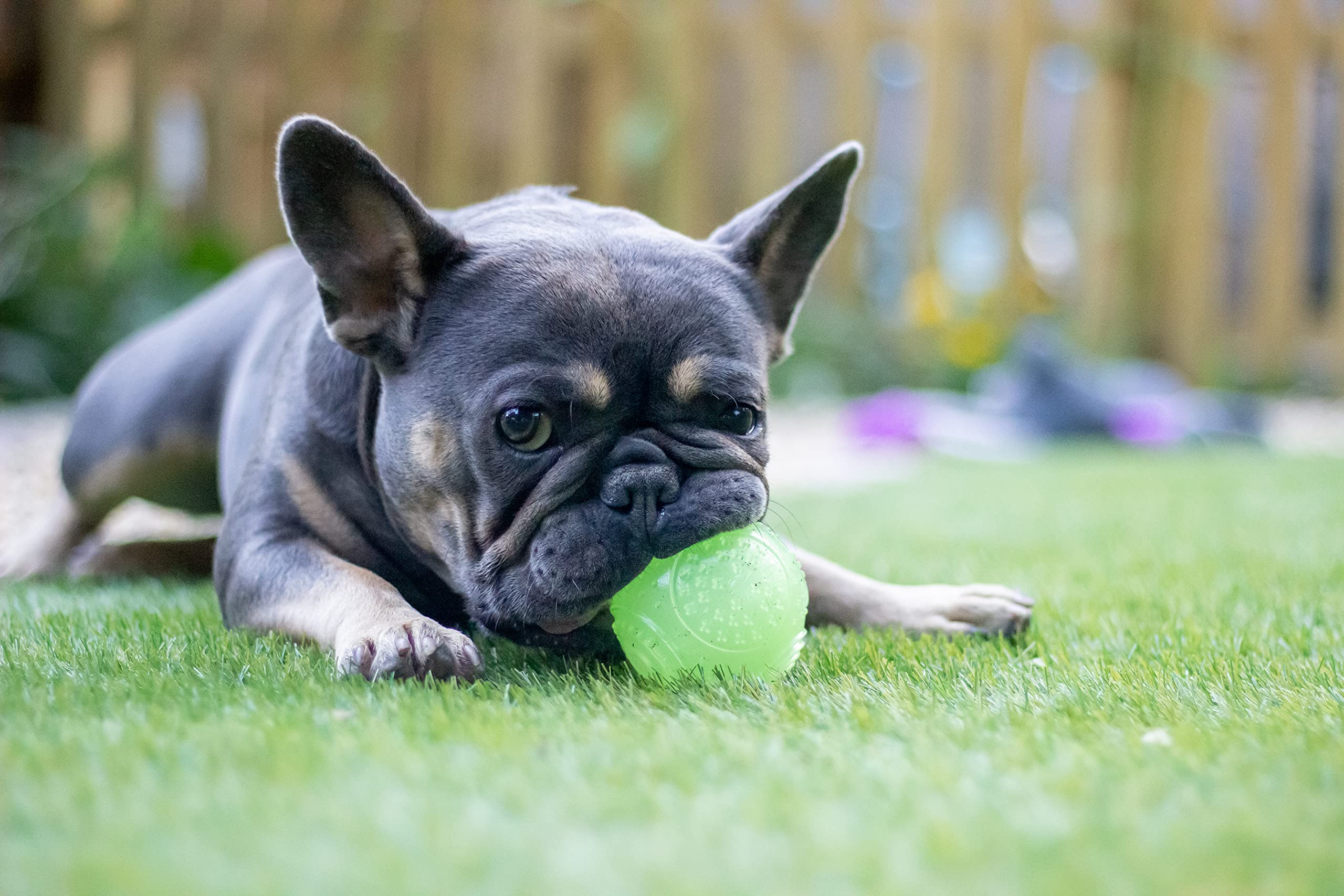 Rosewood Glow In The Dark Dog Ball - Reflective Squeaker Toy for Fetch | Natural Rubber | Green 5