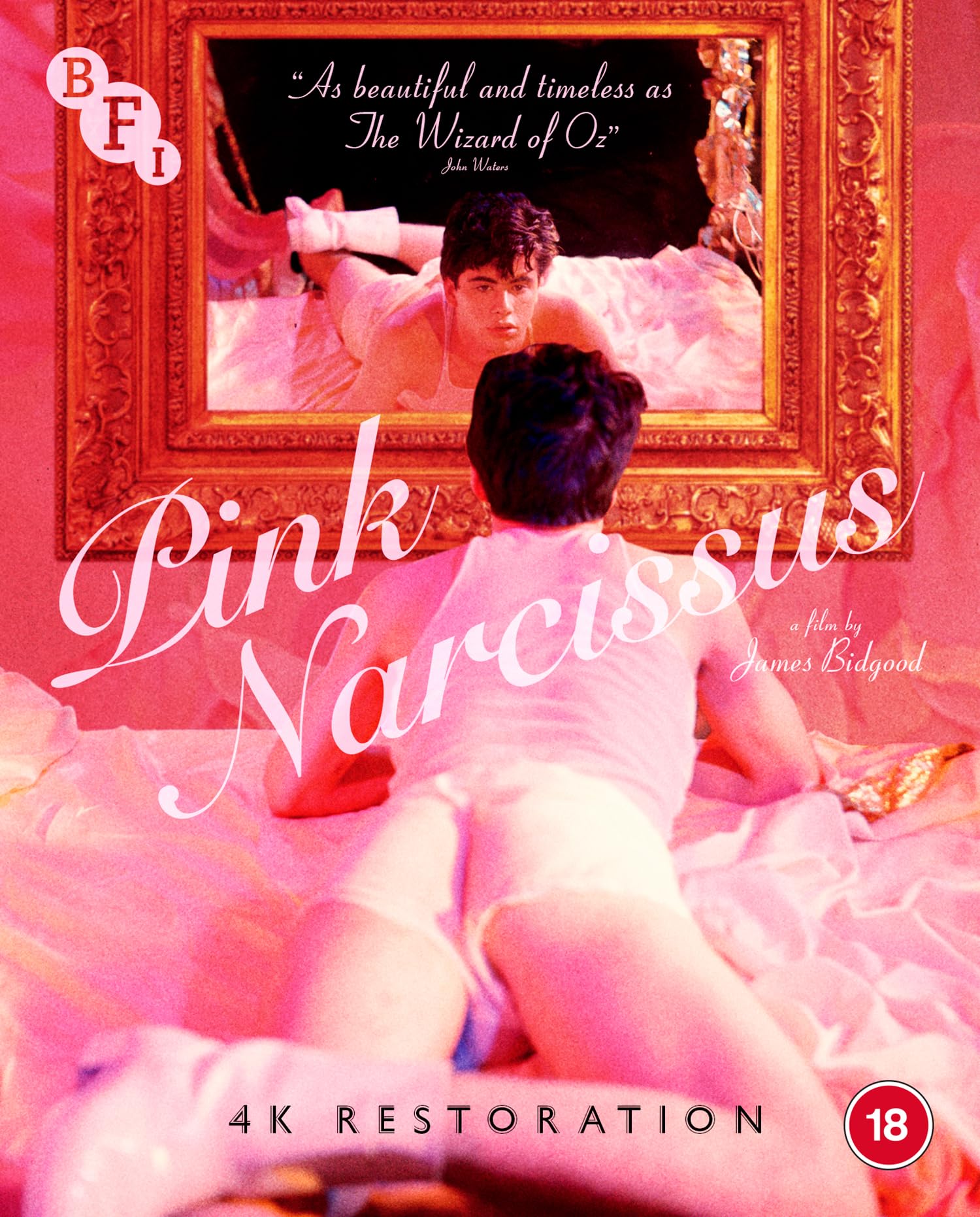Pink Narcissus [Blu-ray] 1