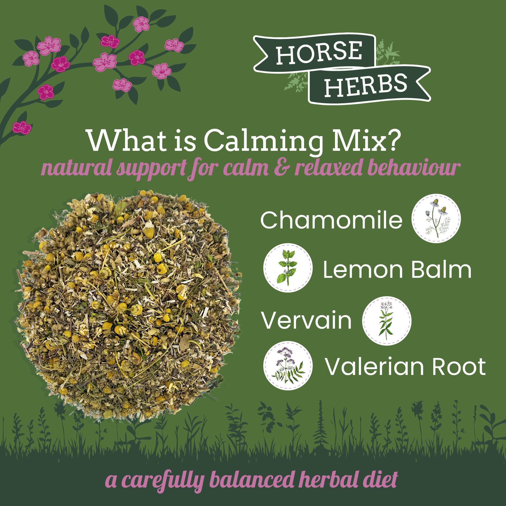 Horse Herbs Calming Mix - 1kg Natural Herbal Supplement for Horses 3