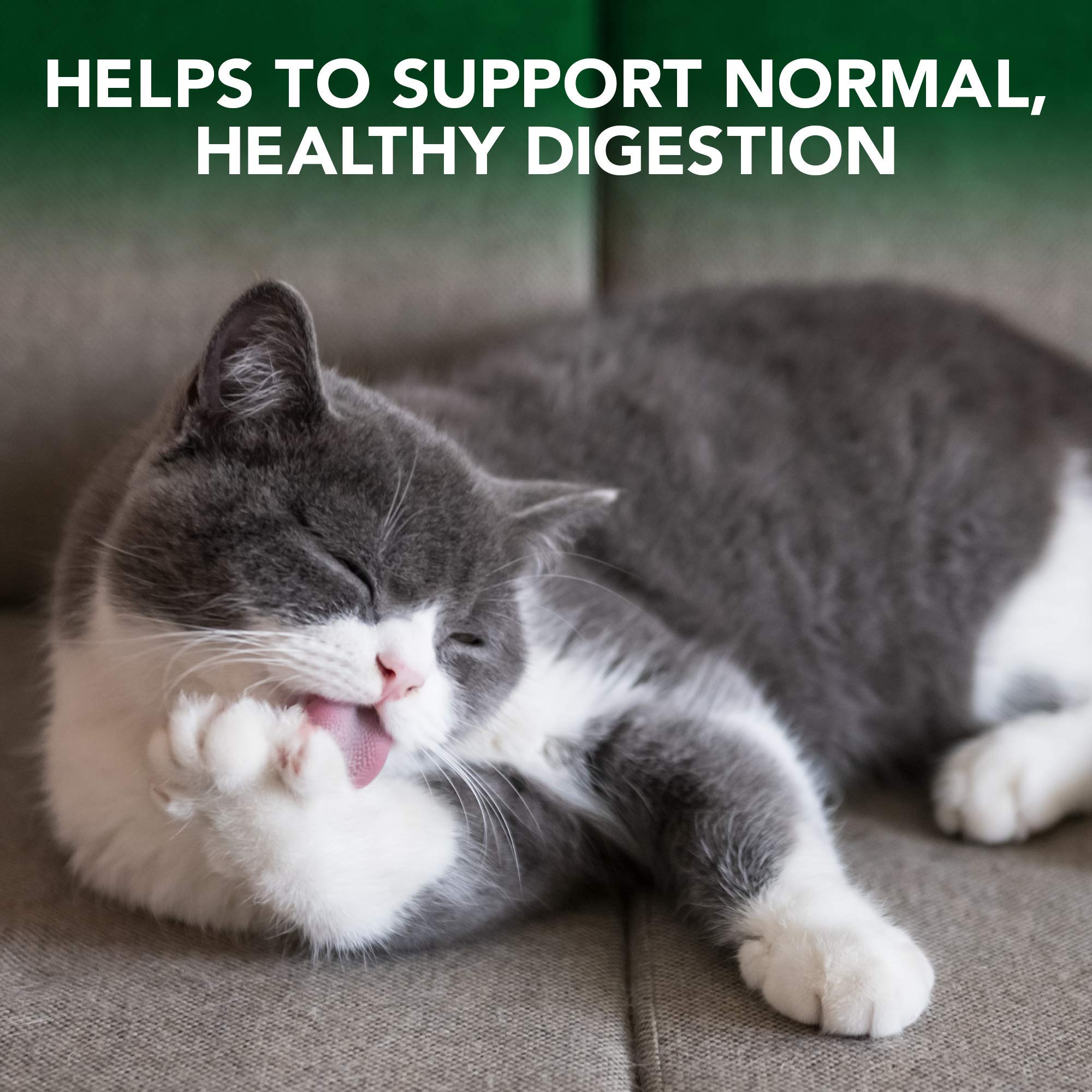 Vet's Best Cat Hairball Relief Digestive Aid Gel - 100g | Chicken Flavor | All Life Stages 2
