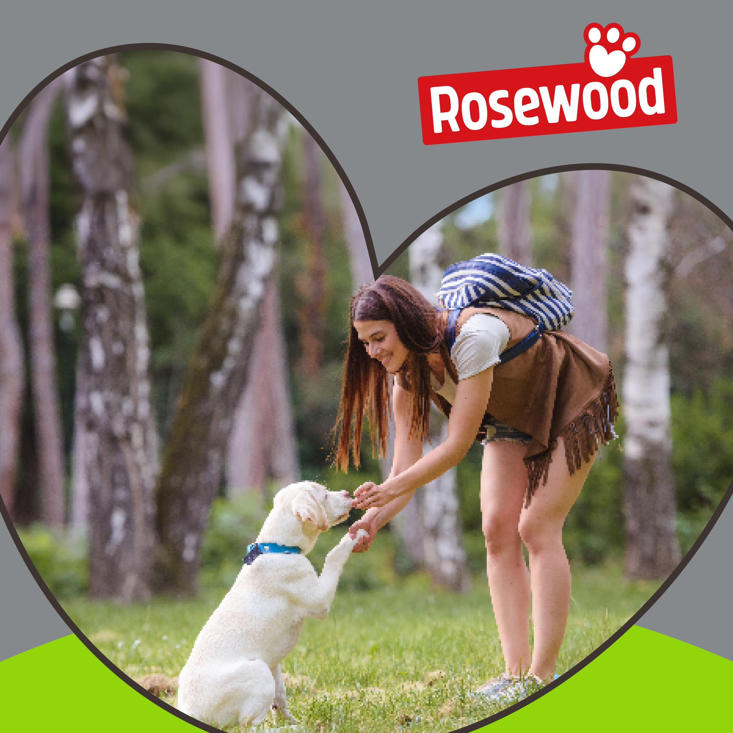 Rosewood Soft Basket Muzzle for Dogs - Size 2 Black Silicone | Padded Comfort for Vets & Scavenging 7