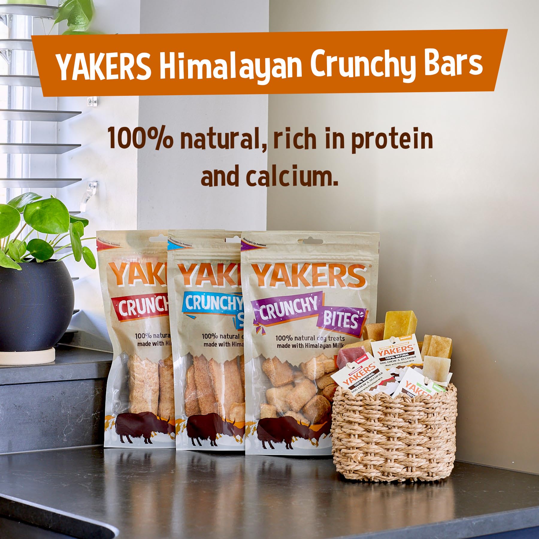 Yakers Peanut Butter & Banana Dog Chew for Adult Dogs | 140g Stick 9