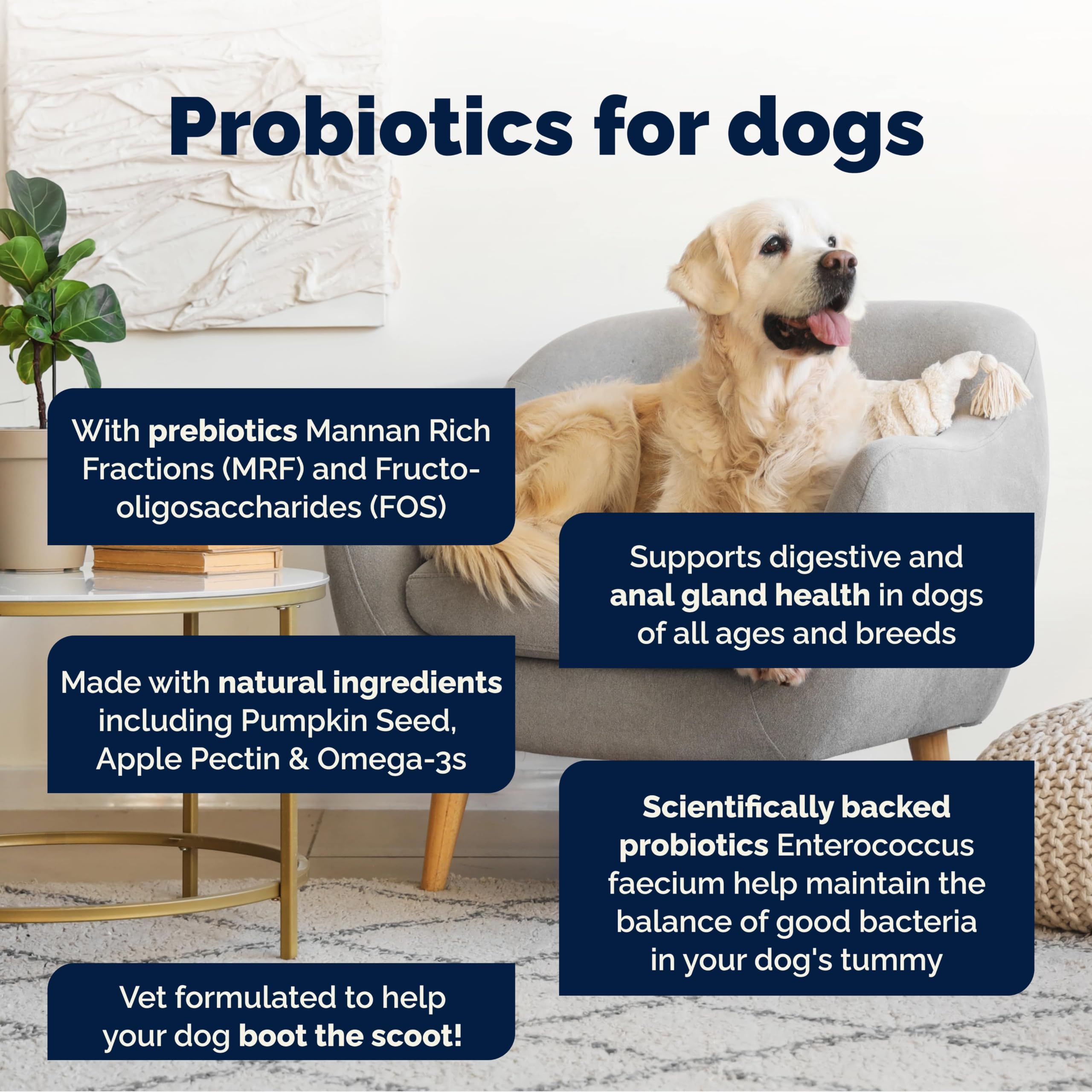Vetnique Glandex For Dogs - 60 Soft Chews for Anal Gland Support & Digestive Health