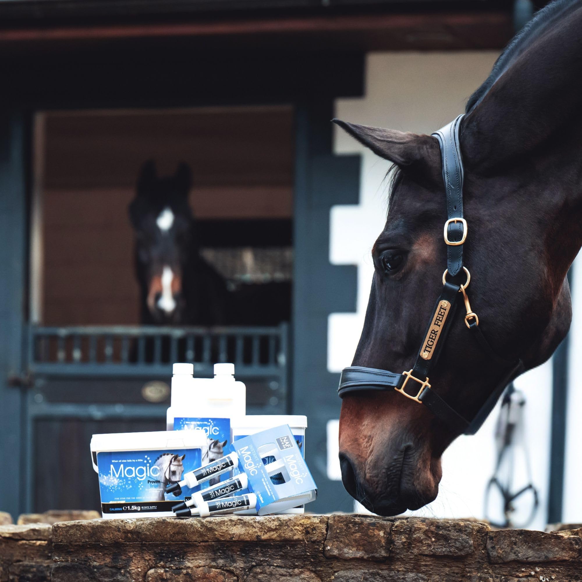 NAF Five Star Magic Liquid - Calming Supplement for Horses | 1L | Magnesium & Herbal Extracts 4