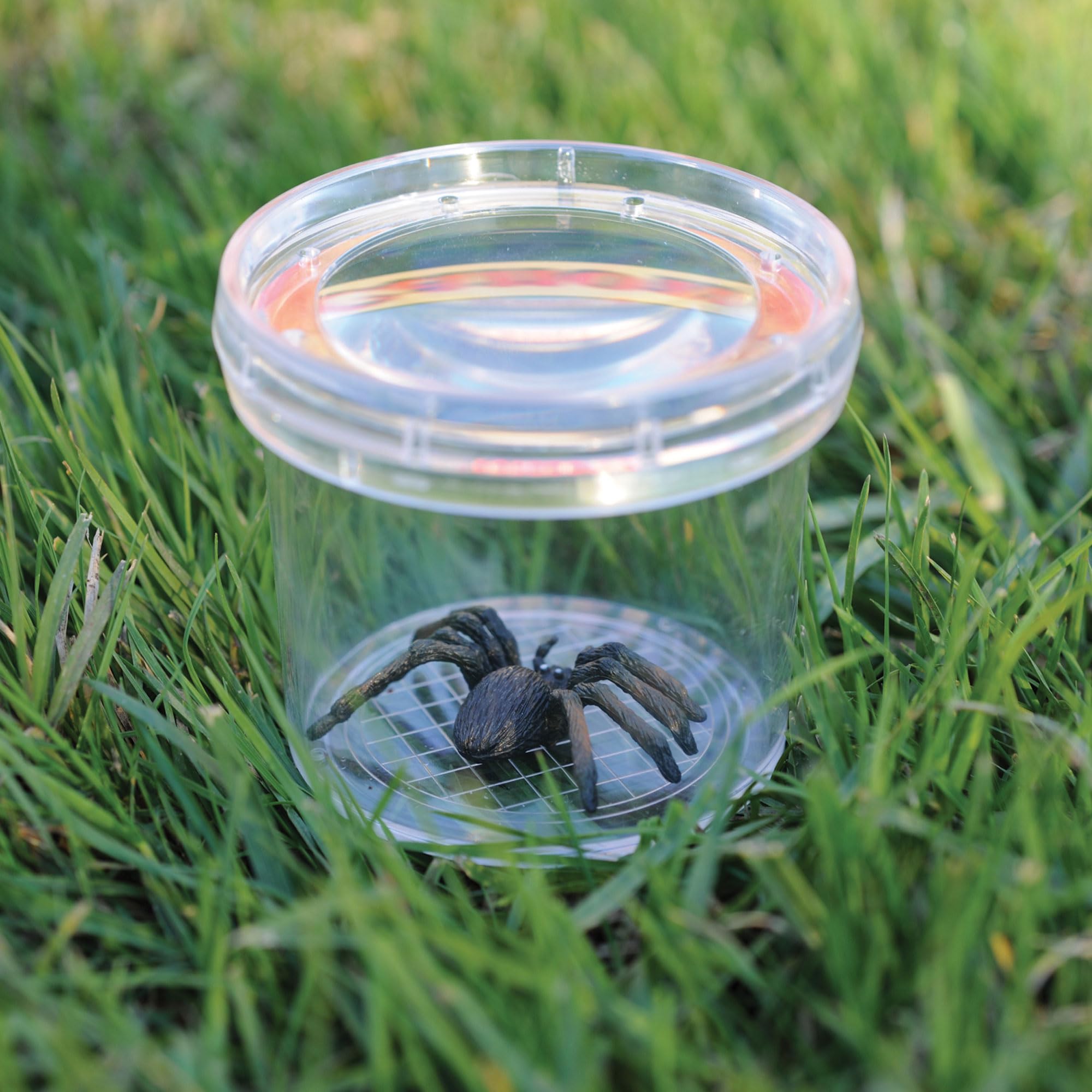 Learning Resources GeoSafari Jr. Bug Viewer - 3X Magnification | Measuring Grid Base | Ages 4+