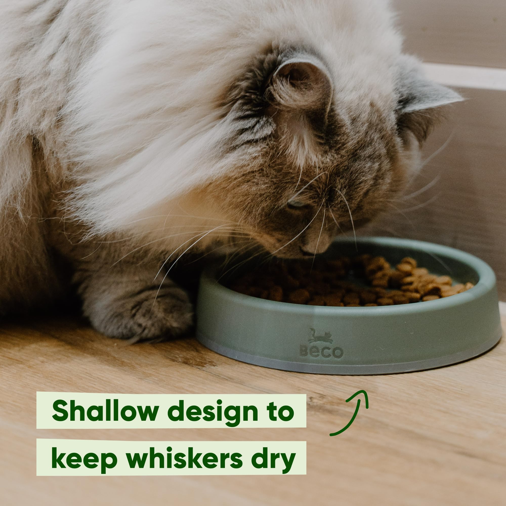 Beco Cat Bowl - Whisker-Friendly Steady Design | Recycled Plastic | Nonslip Base 4