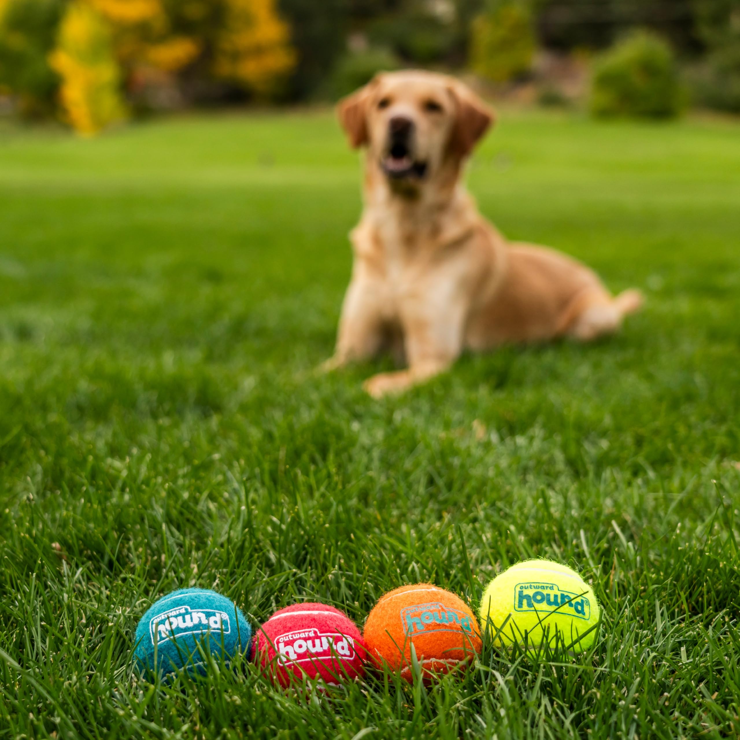 Outward Hound Squeaker Ballz Fetch Dog Toy - Medium Size, 4 Pack | Premium Rubber Bounce 5