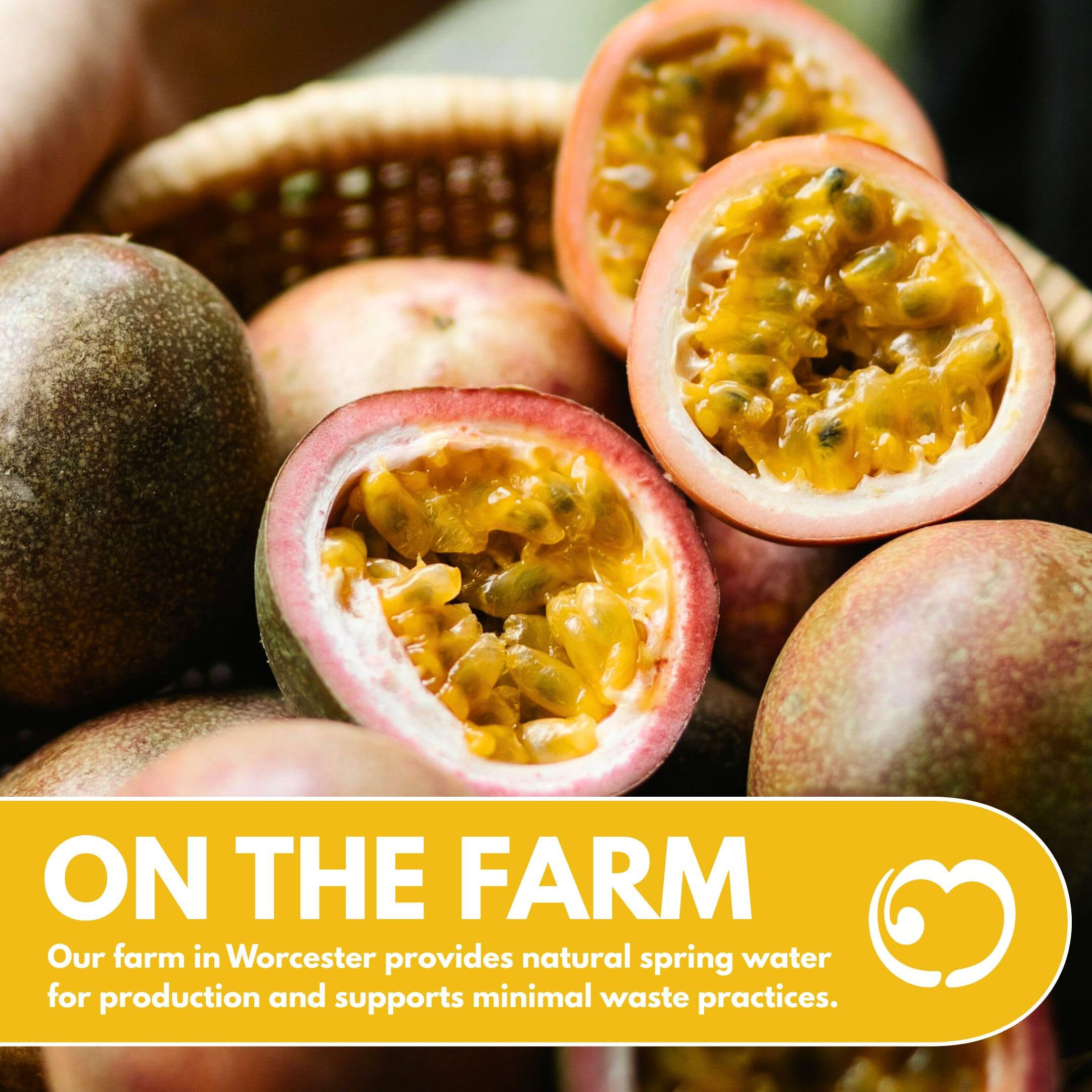 LITTLE MIXERS Passion Fruit Purée - 1L Carton | Cocktail & Dessert Mixer | Made in UK 6