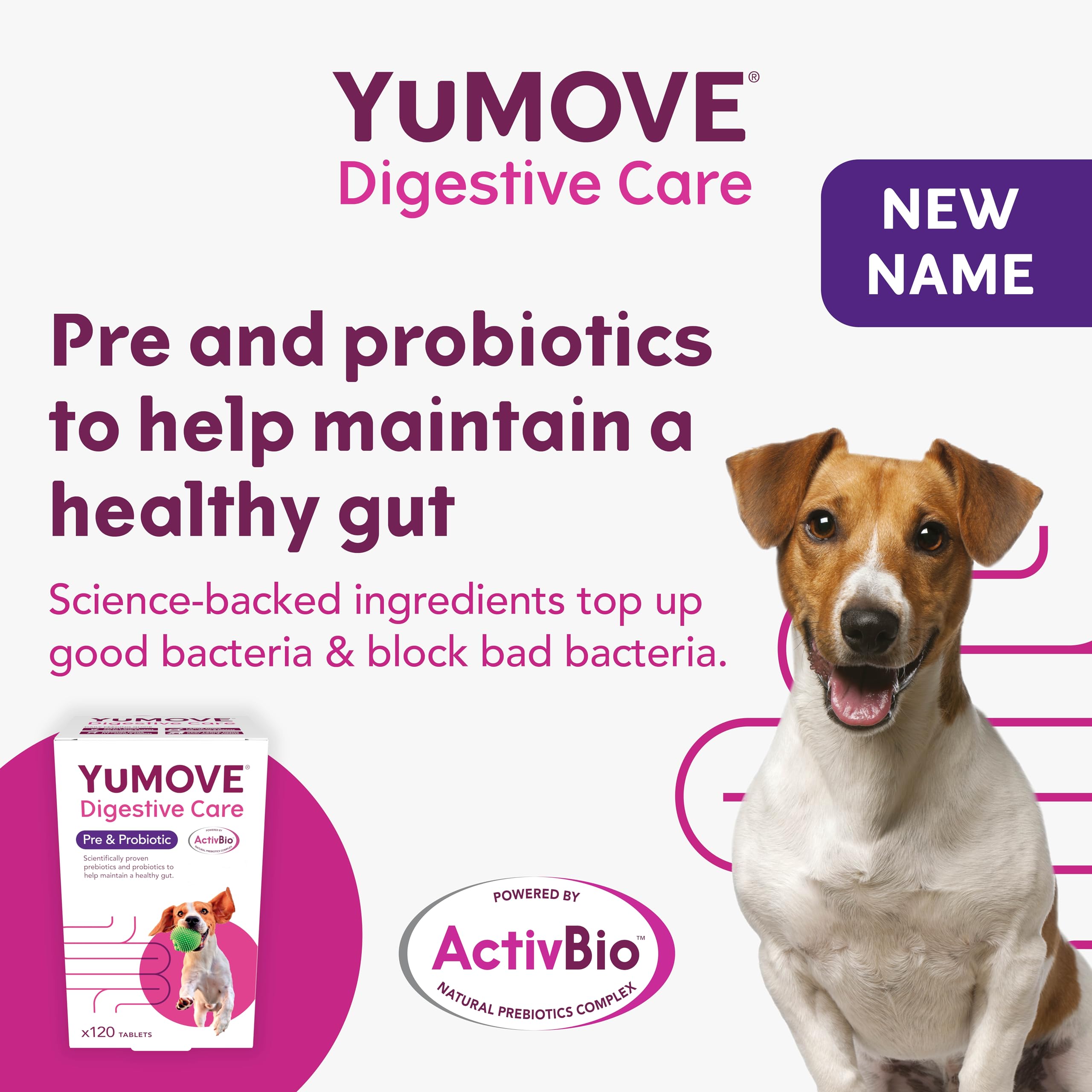 YuMOVE Digestive Care Dog Pre and Probiotics Supplement for Gut Health | 120 Tablets 3