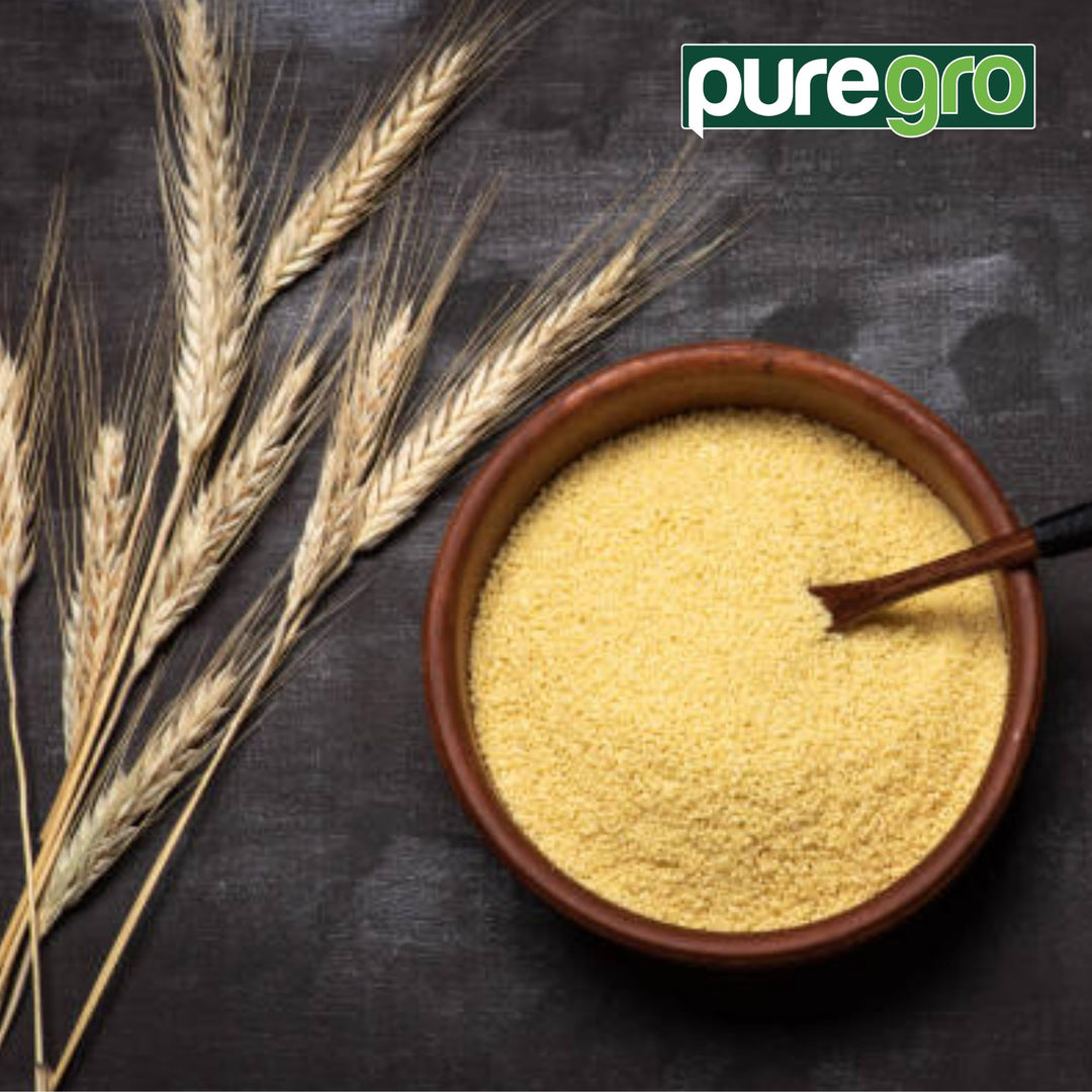 Puregro - Semolina Coarse 500g | 100% Natural Durum Wheat Semolina