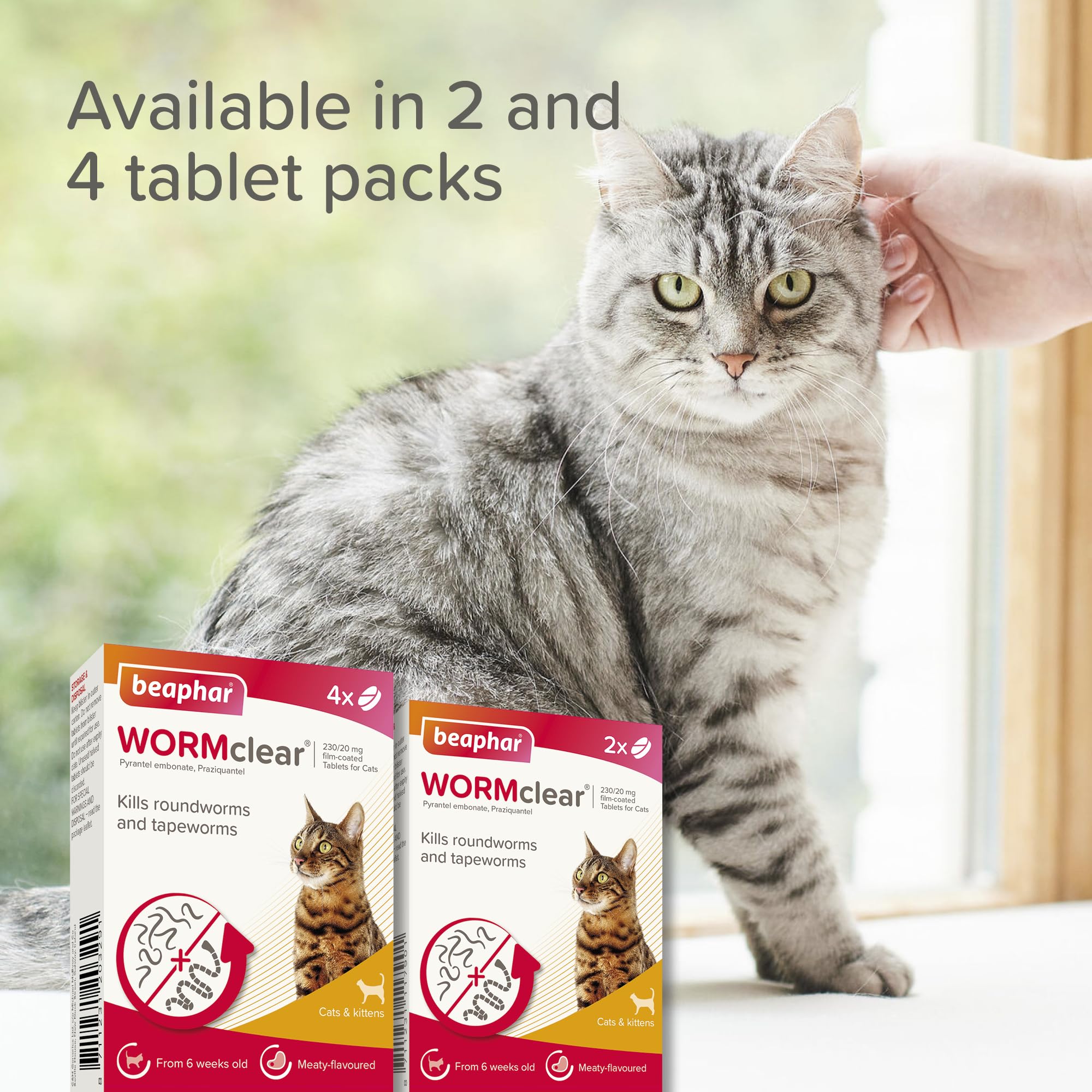 Beaphar WORMclear Tablets for Cats - Kills Common UK Worms | 4 Tablet Pack 8