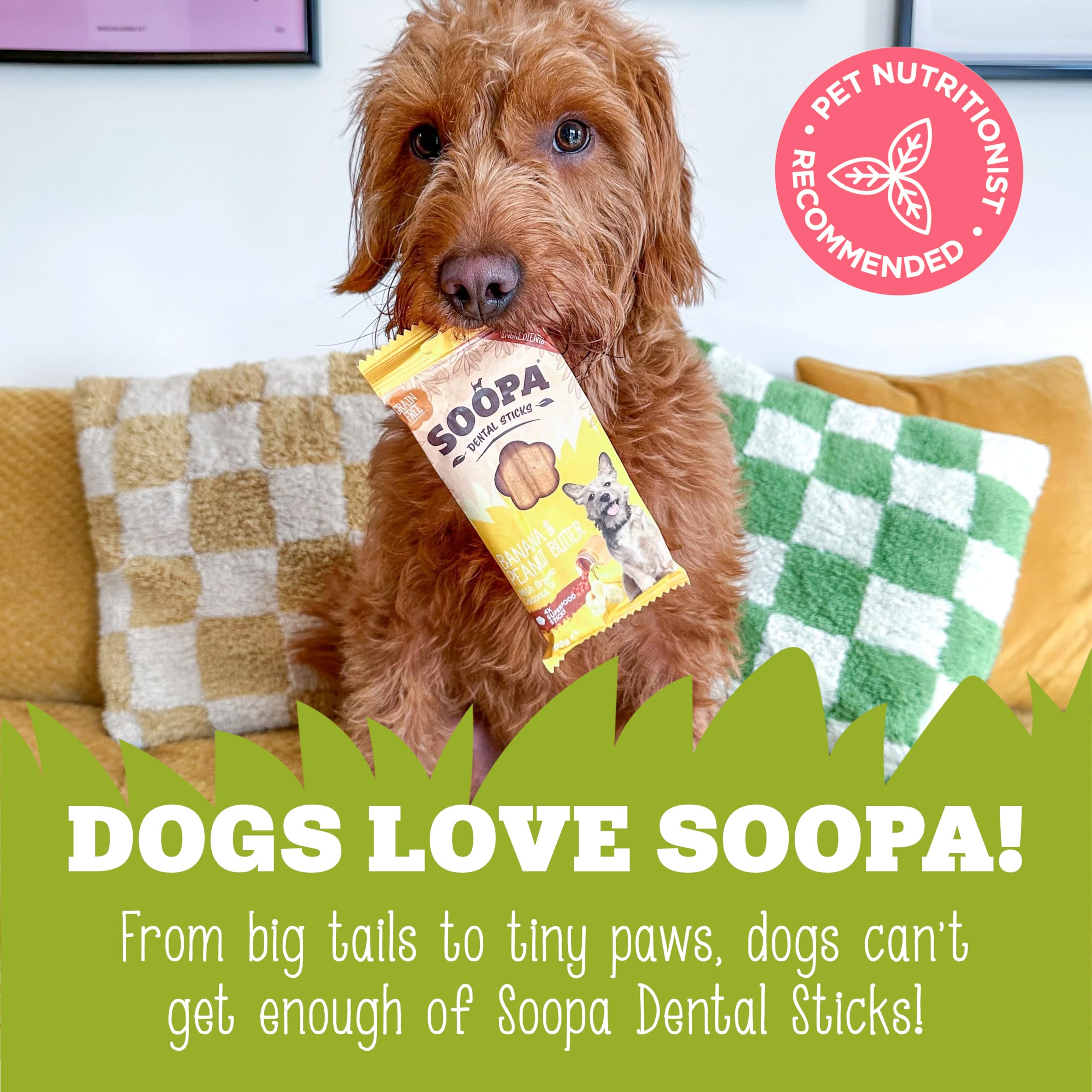 Soopa MINI Dental Sticks - Banana & Pumpkin Flavor | 100g Bag | Hypo-Allergenic 6