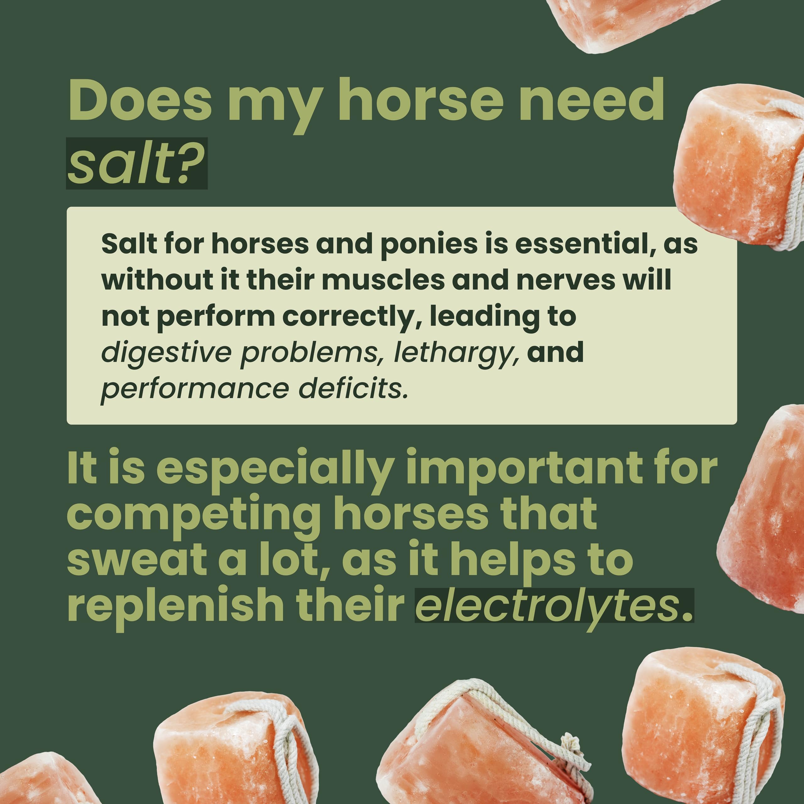 Horse Herbs Himalayan Salt Lick - 1.5kg Natural Equine Supplement for Hydration & Minerals 5