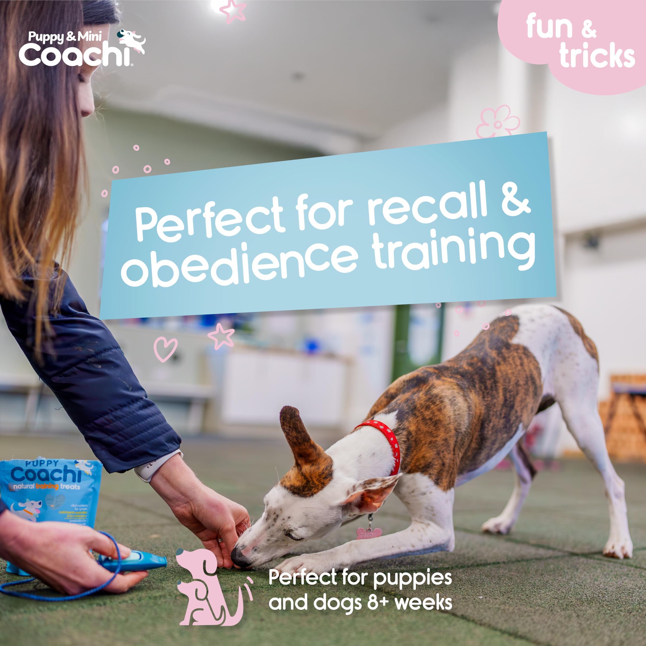 Coachi Puppy & Mini Whizzclick - 2-in-1 Combined Clicker and Whistle for Dog Training | Teal/Mint