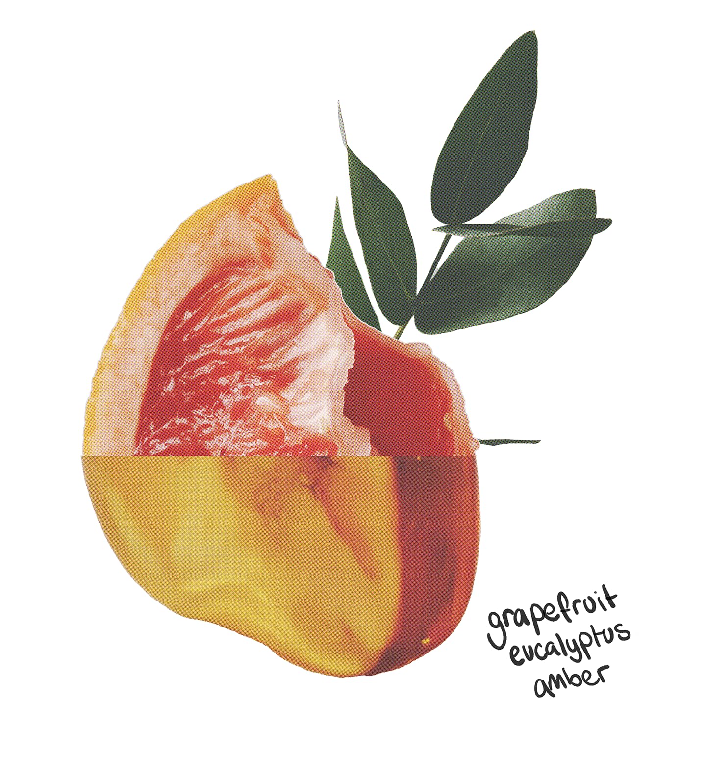 The Lab Co. - Laundry Detergent Strips 64 Loads (Eco Ultra-Concentrated, Non-Bio, Sensitive Skin, Fragrance: Grapefruit Amber Eucalyptus) 8