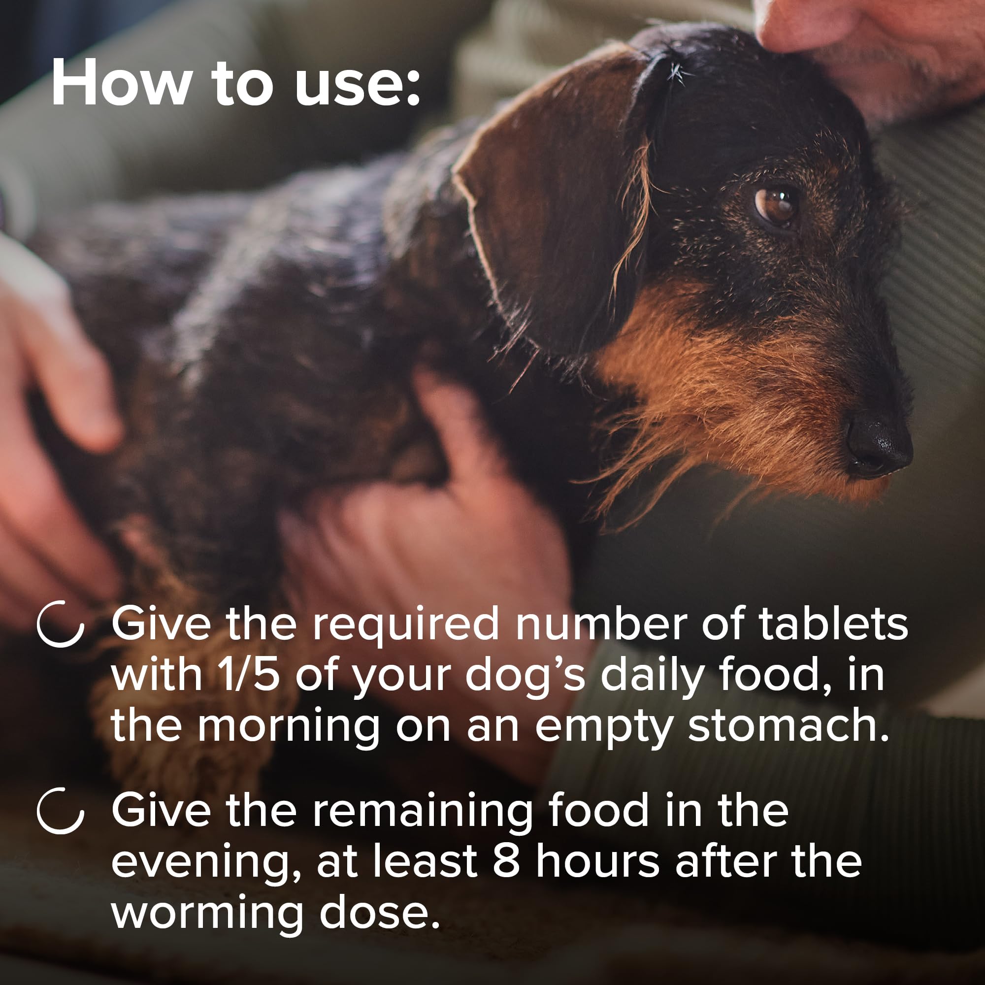 Beaphar One Dose Worming Tablets - For Small Dogs Up To 6kg | 3 Tablets 5