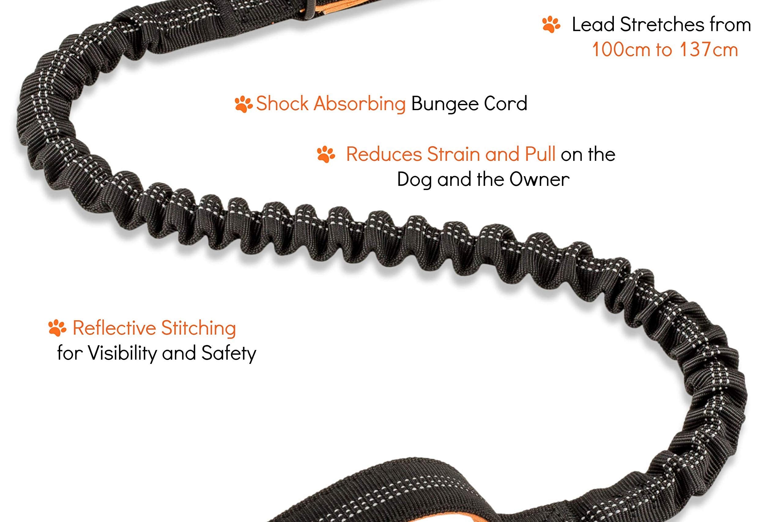 Sweetie Bungee Dog Lead - Shock Absorbing Leash for Gentle Pull Control | 40ft Length | Black 3