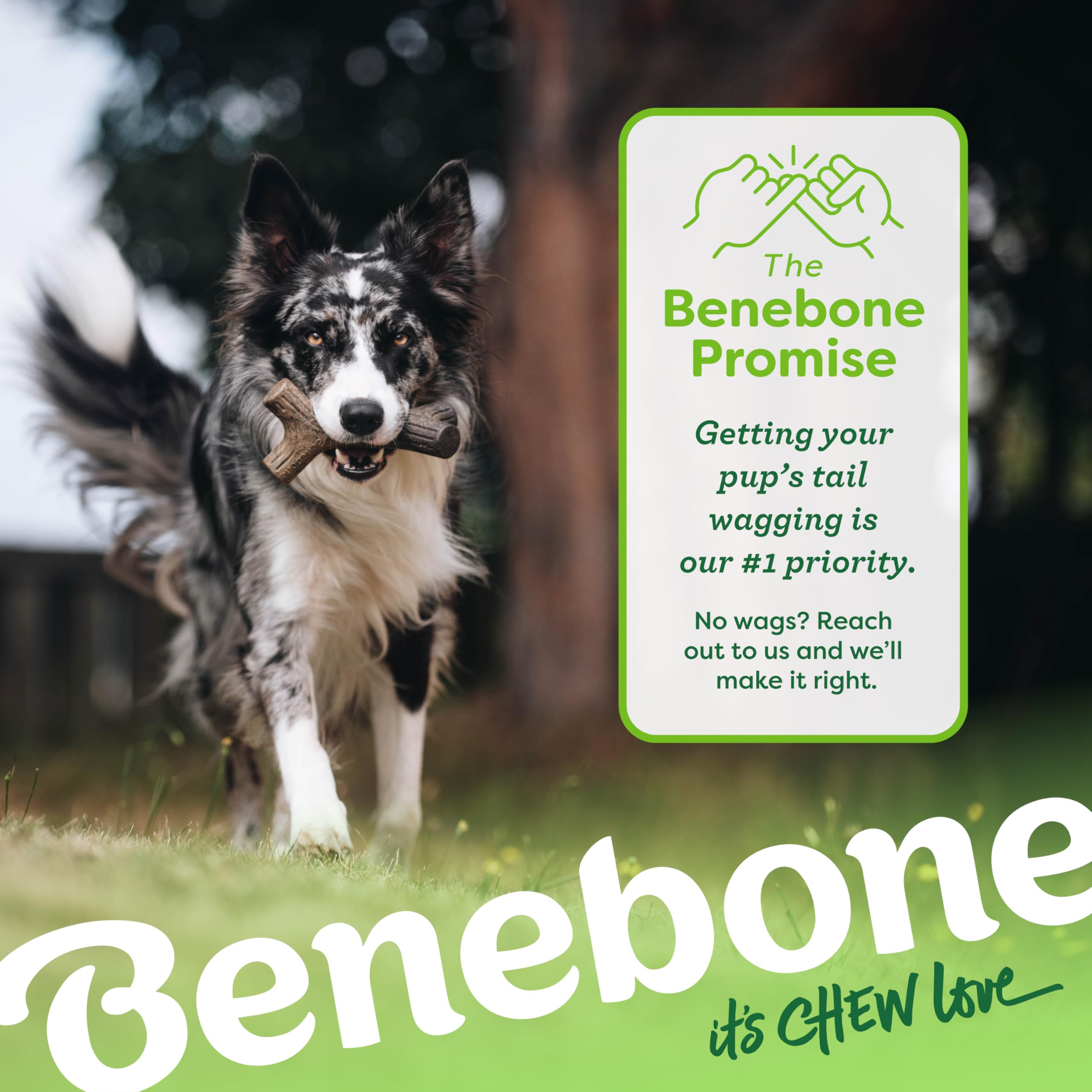 Benebone Stick Dog Chew Toy - Long Lasting, Real Maple Wood Flavor | Small Size 6