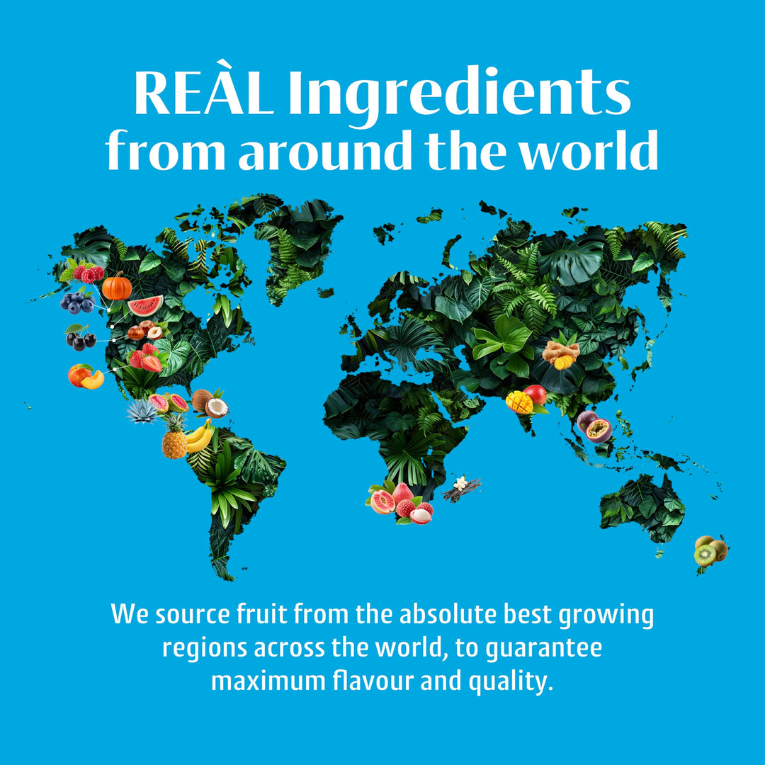 Reàl Infused Exotics - Coco Reàl Cream of Coconut | 500ml Squeezy Bottle