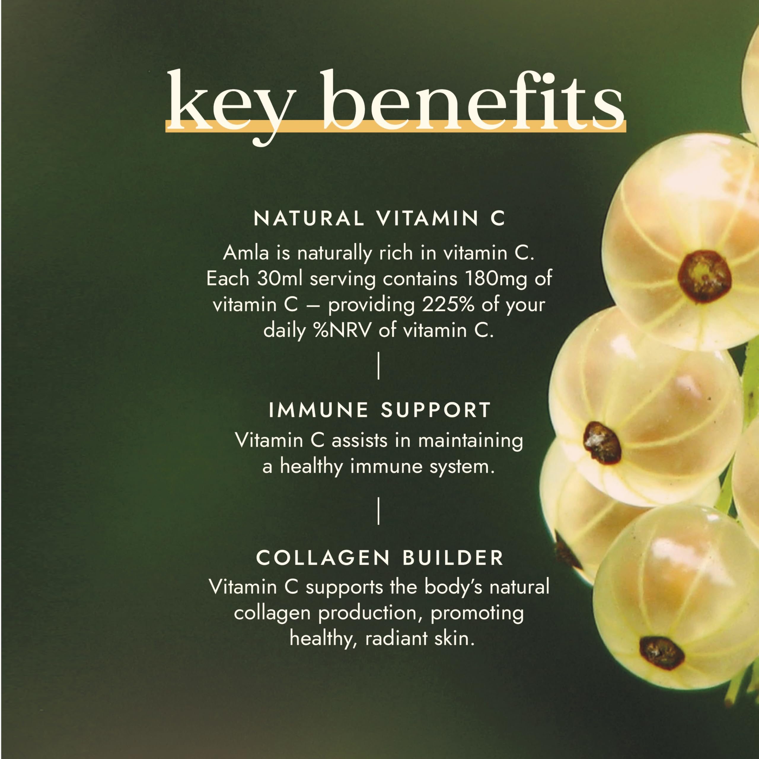 Fushi Amla Saft 500ml | Kaltgepresster Indischer Stachelbeersaft | 100% Roh &amp; Ungefiltert 5