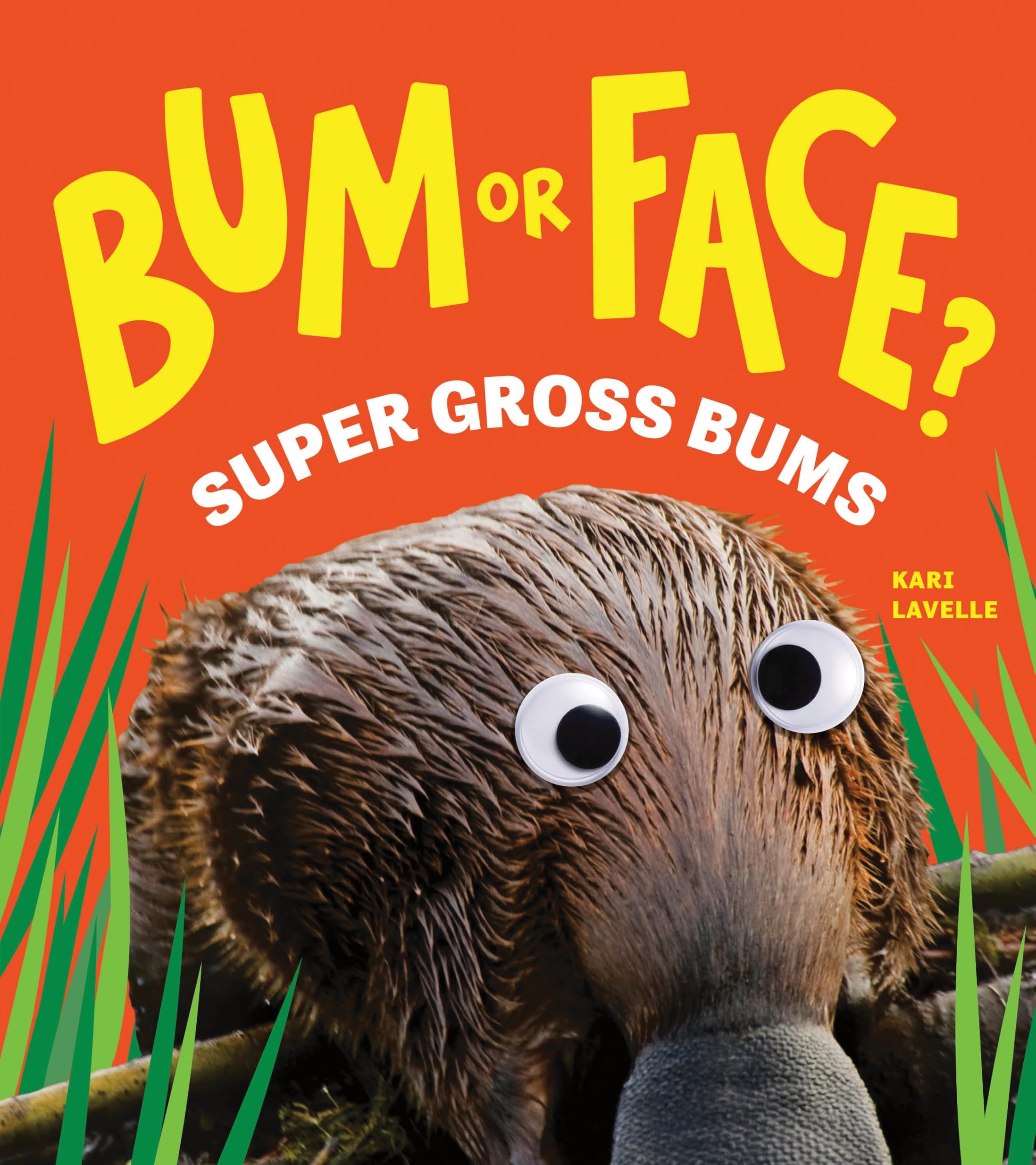 Sourcebooks Explore Bum or Face? Super Gross Bums: The Outrageous Animal Guessing Game Book | Ages 4-8 | Paperback 1