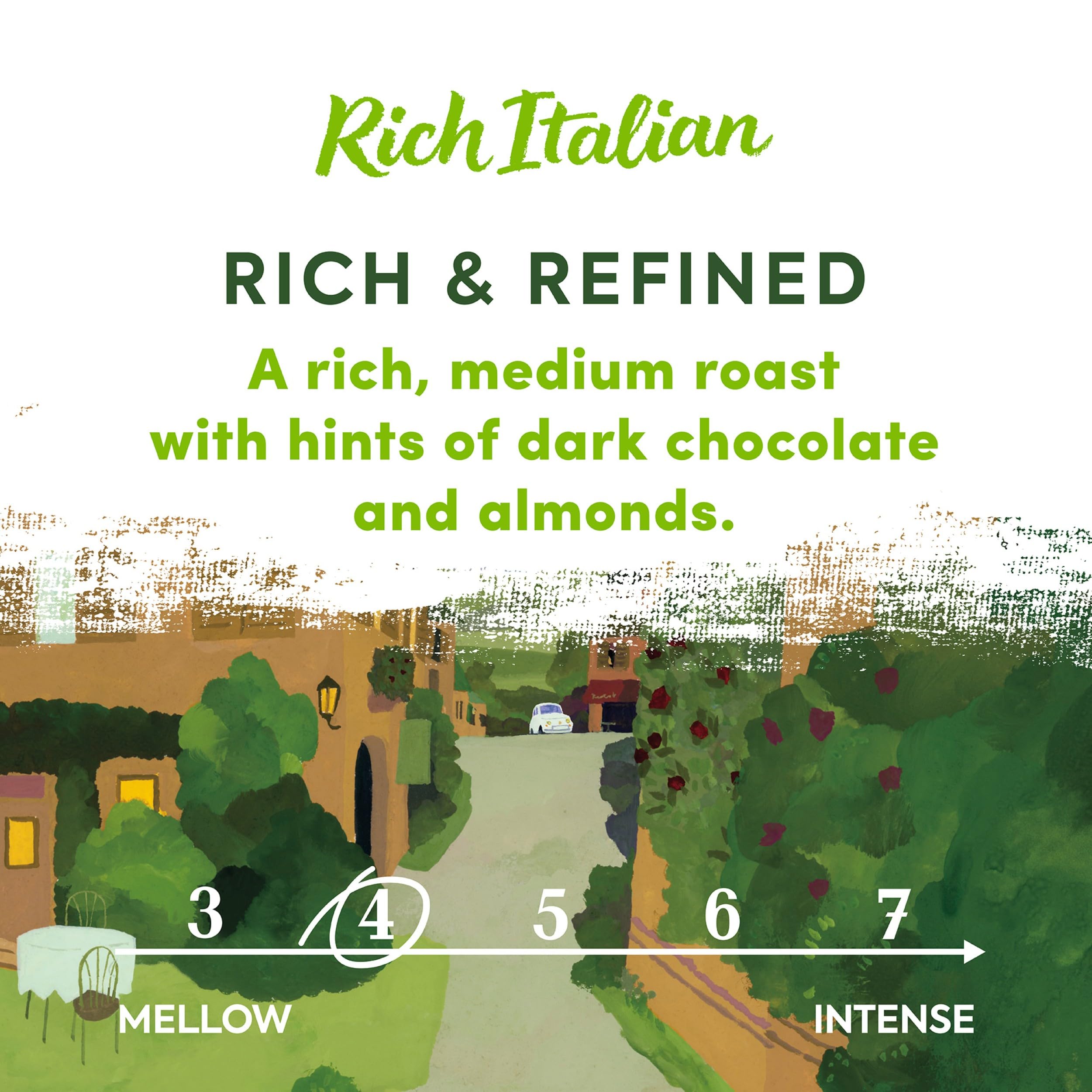 Taylors of Harrogate Rich Italian Ground Coffee (200g Pack of 6 - Total 1.2kg) 6