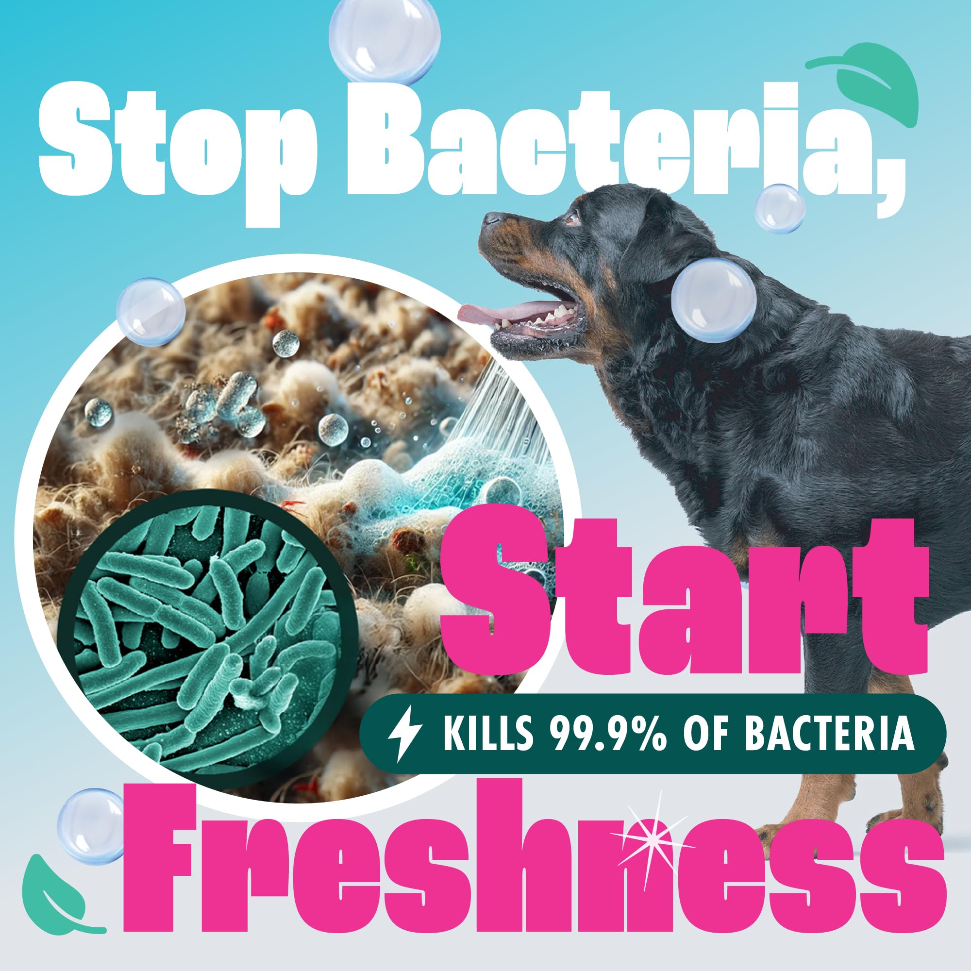 Dirtbusters Pet Pro Antibacterial Carpet Cleaner Shampoo - Kills 99.99% Bacteria | 1L Liquid 5