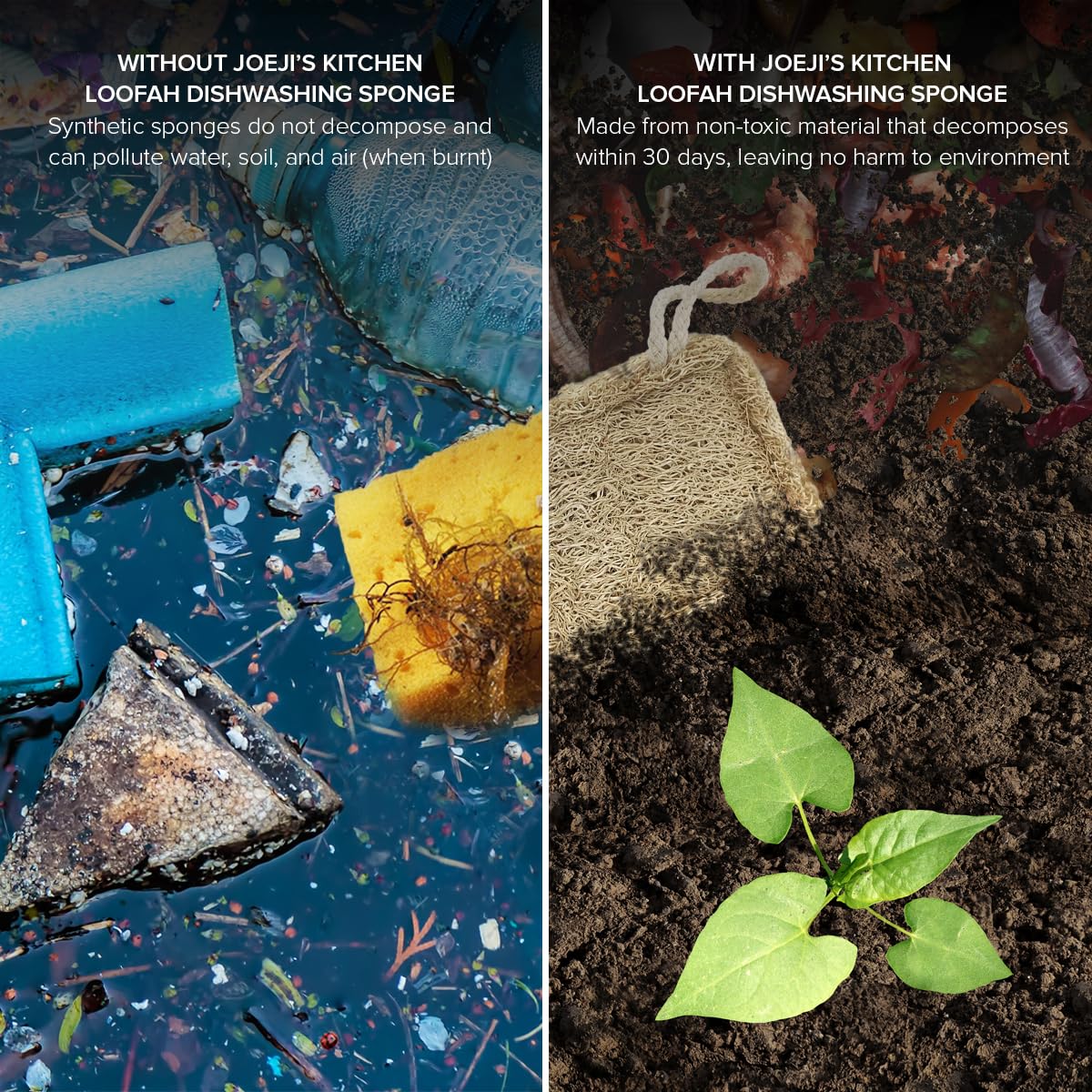 Joeji's Kitchen - Pack of 8 Natural Eco Dishwasher Sponges 16