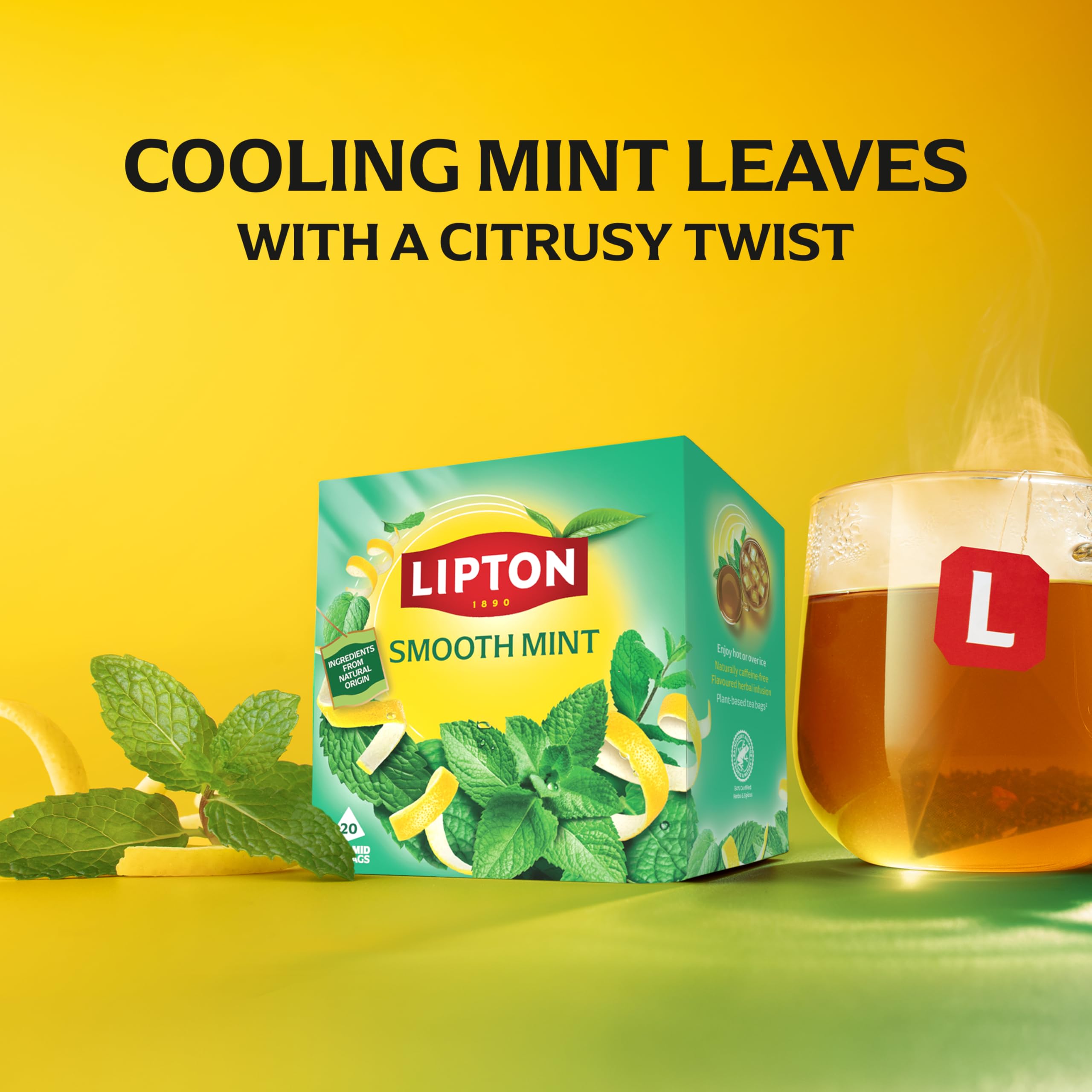 Lipton Smooth Mint Fruit Infusion Herbal Tea Bags - Mint & Lemon Peels | 20 Count | Caffeine Free