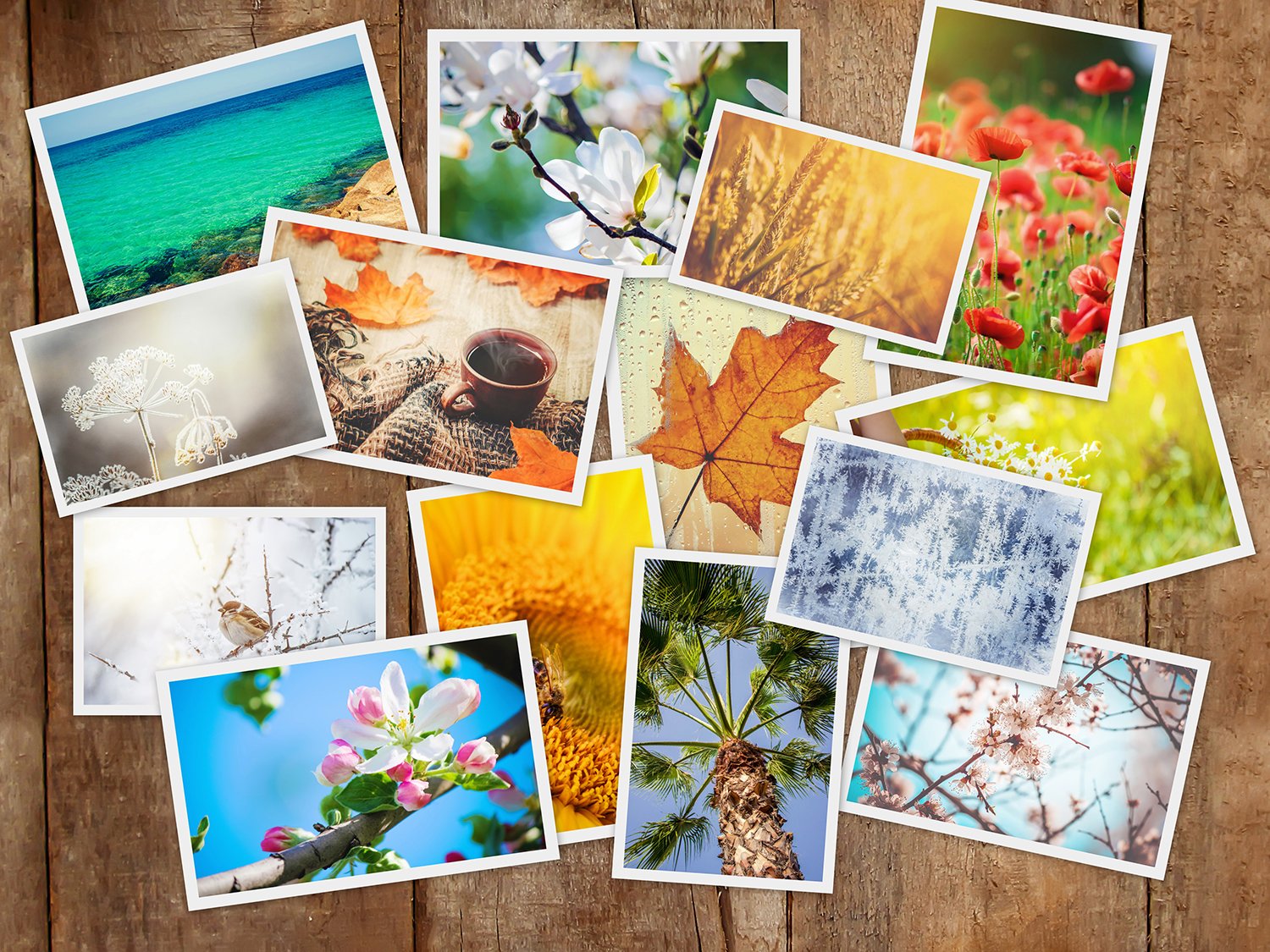KODAK Premium Zink Photo Paper - 2"x3" Size | 20 Sheets | Water & Tear Resistant 9