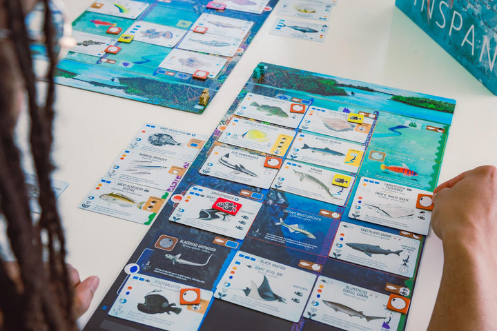 Stonemaier Games Finspan Board Game | Ages 10+ | 1-5 Players | 45-60 Minutes