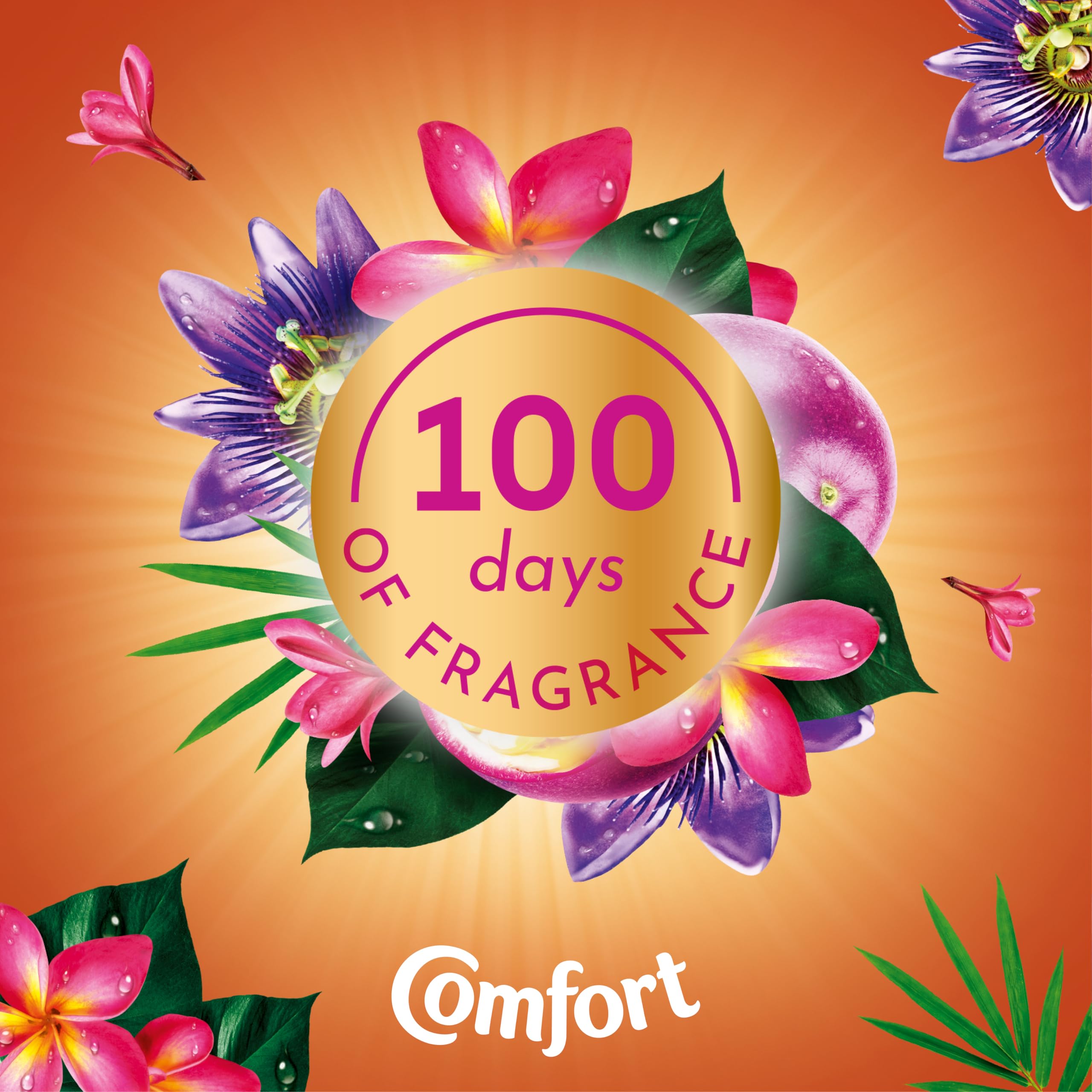 Comfort - Perfume Creations Passion Bloom Fabric Conditioner (900g) 4