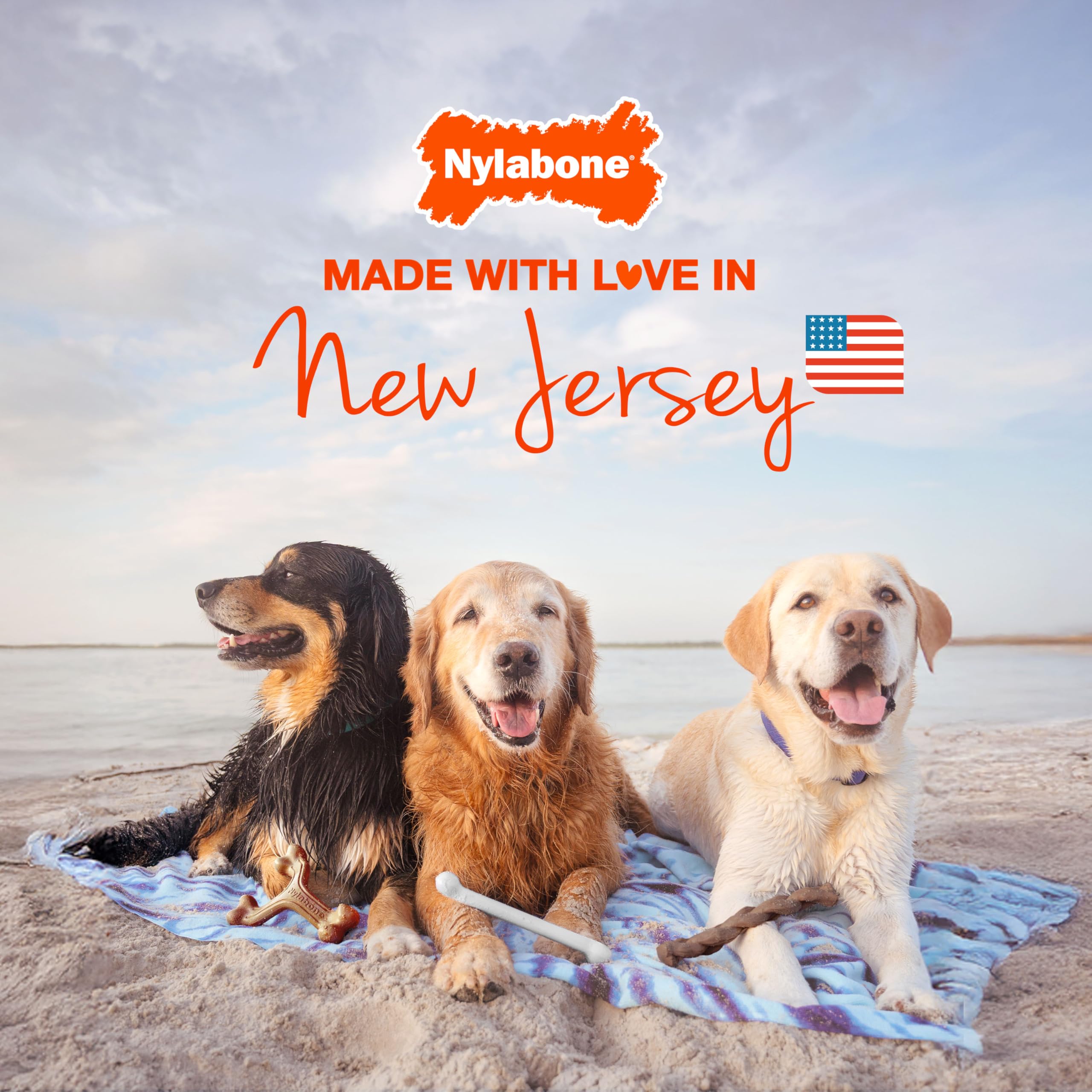 Nylabone Gentle Puppy Chew Toy Bones - Chicken & Peanut Butter Flavour, XS, Up to 7kg (Twin Pack) 8
