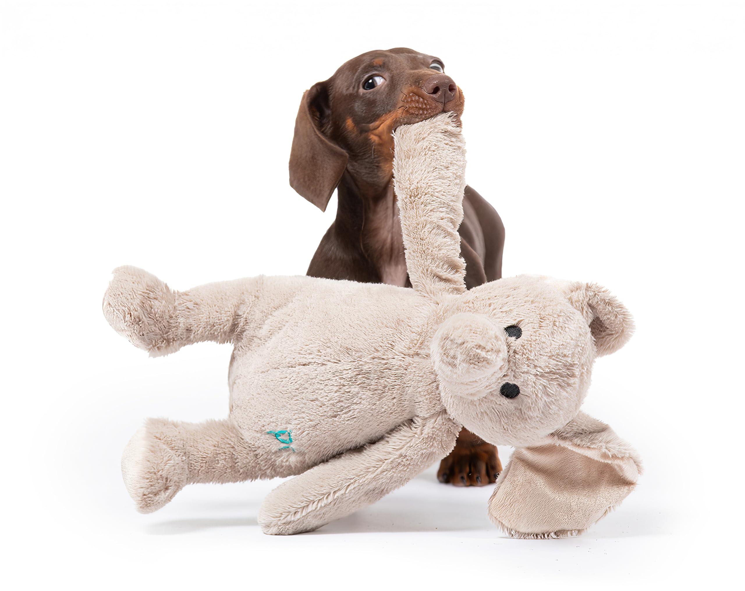 Petface Little Petface Betty Elephant Plush Puppy Dog Toy | Lightweight & Durable | For Small Breeds 7