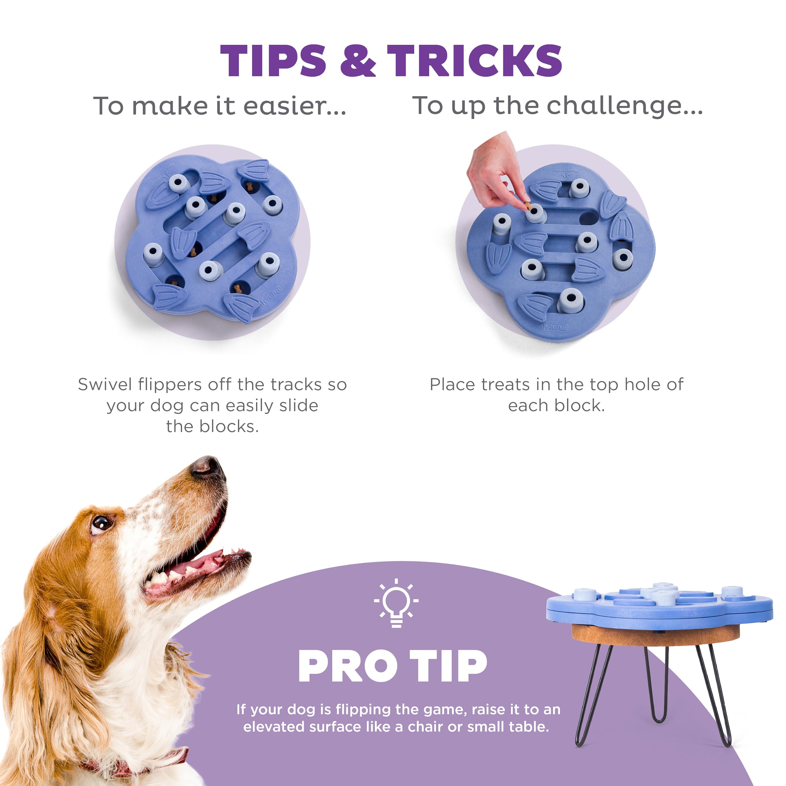 Outward Hound Nina Ottosson Dog Hide N' Slide Purple Interactive Treat Puzzle - Level 2 Intermediate 4