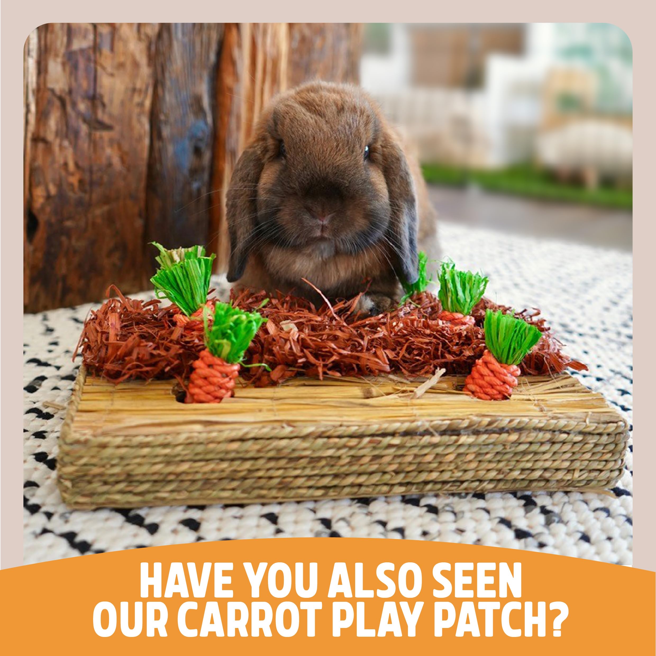Rosewood Bunny Fun Tree Activity Toy - Seagrass & Corn Leaf | Small Animals 5