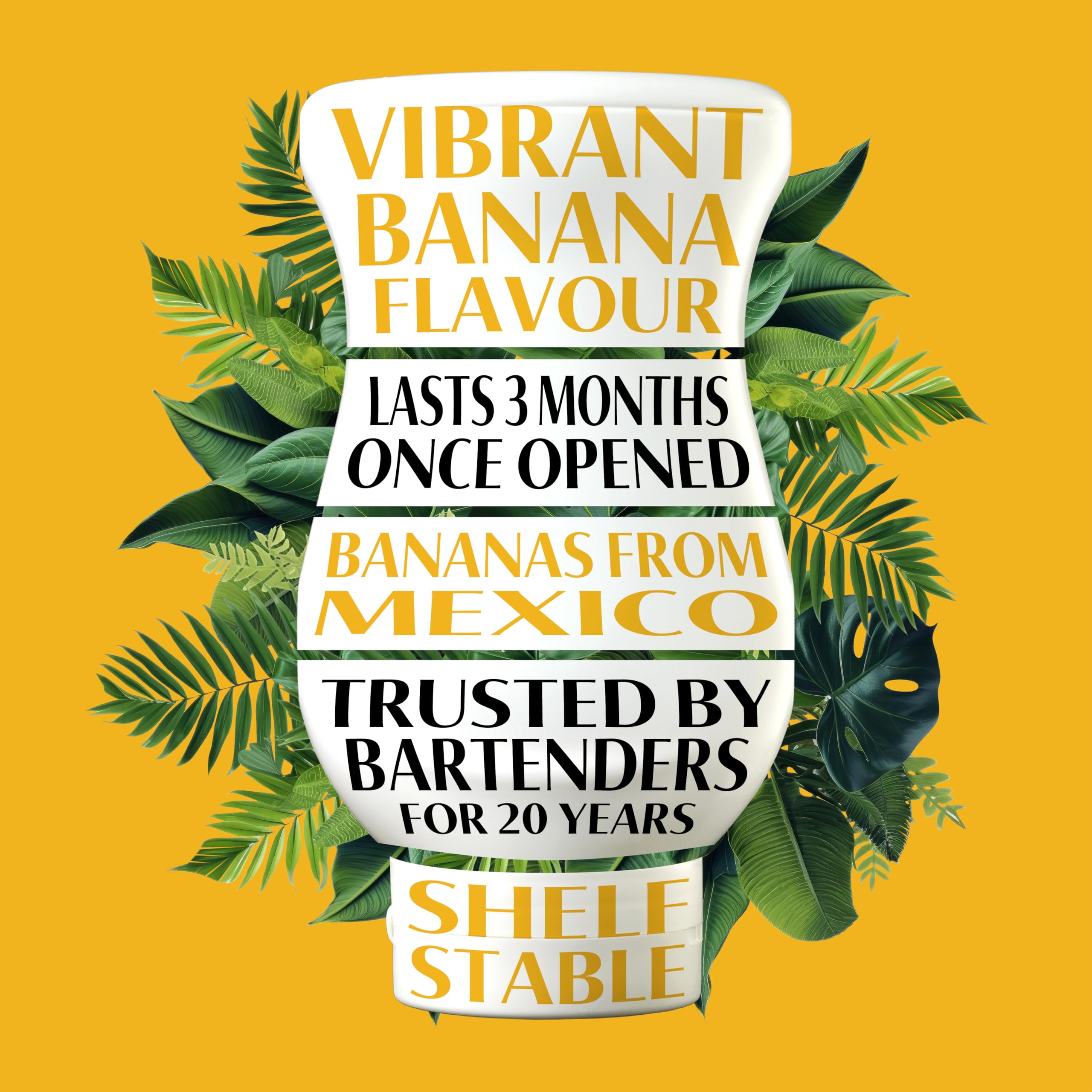 Reàl Infused Exotics Banana Puree Infused Fruit Syrup | 500 ml | Vegan, Gluten Free 2