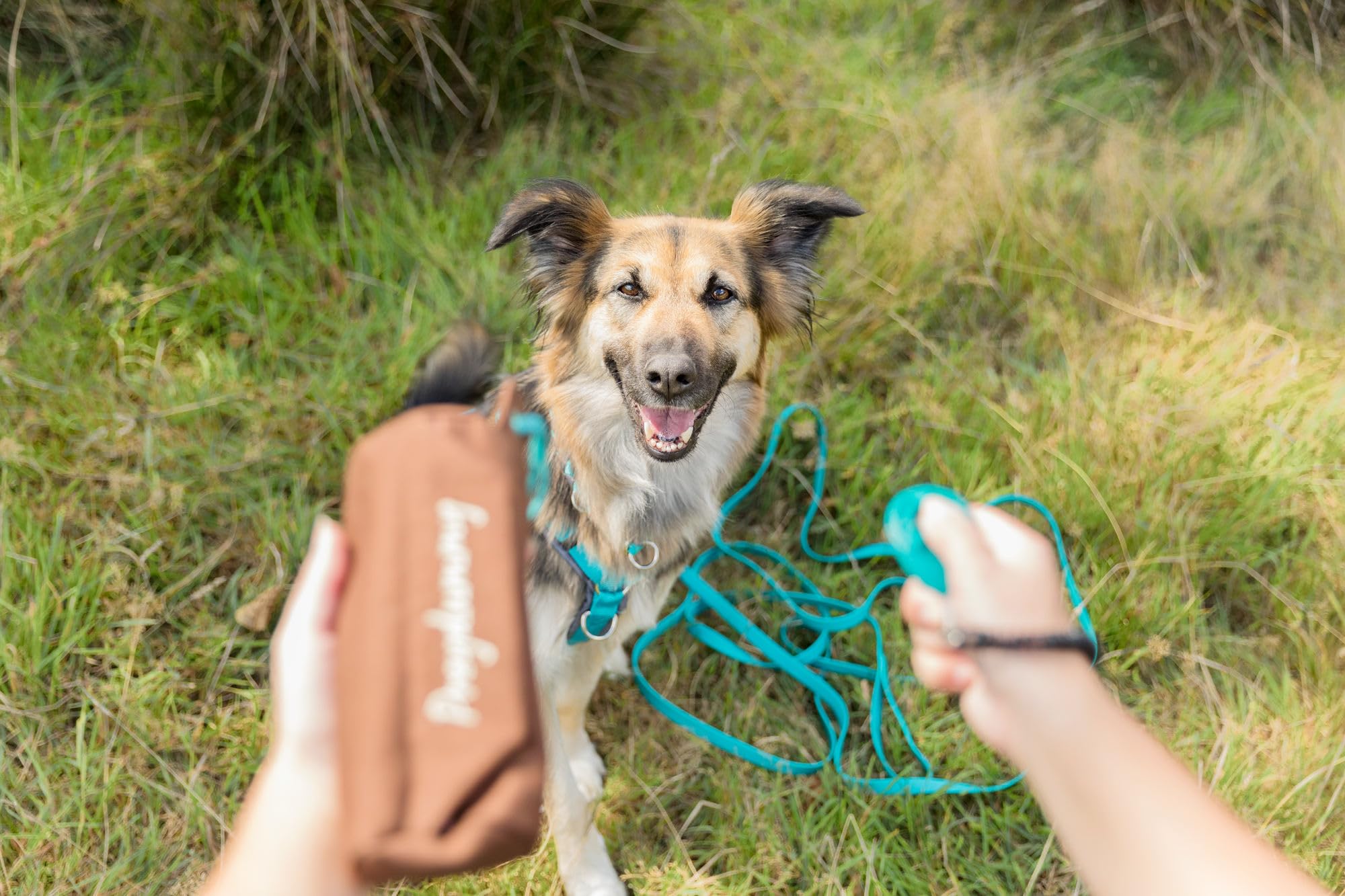 Trixie Dog Activity Preydummy - Versatile Training Aid | 6 x 14 cm | Brown 4