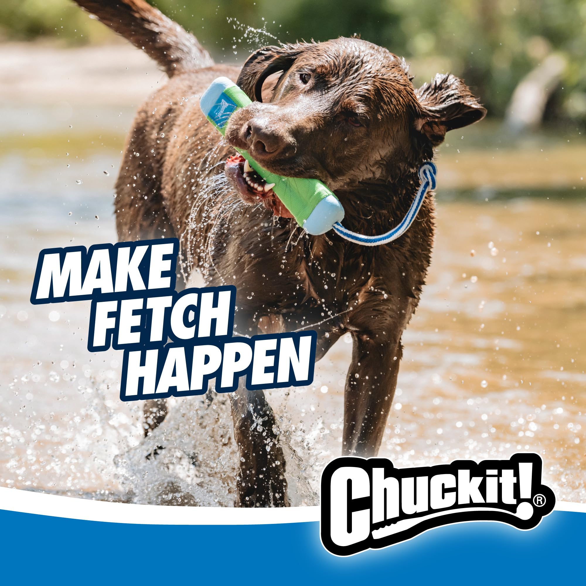Chuckit! Amphibious Bumper Dog Toy - Medium Size, Water-Friendly Fetch Toy | Floats | Lightweight